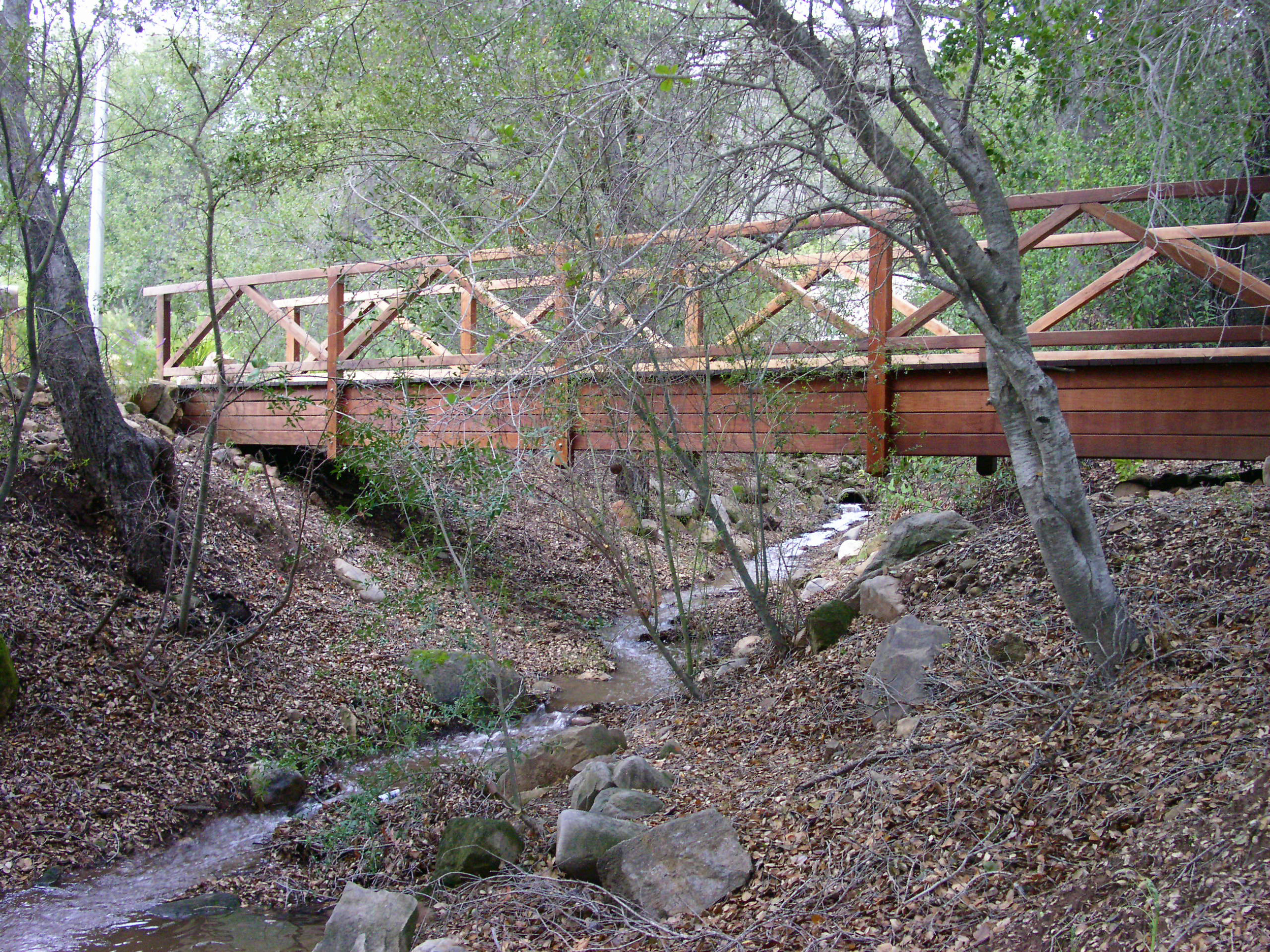 Backyard Bridge