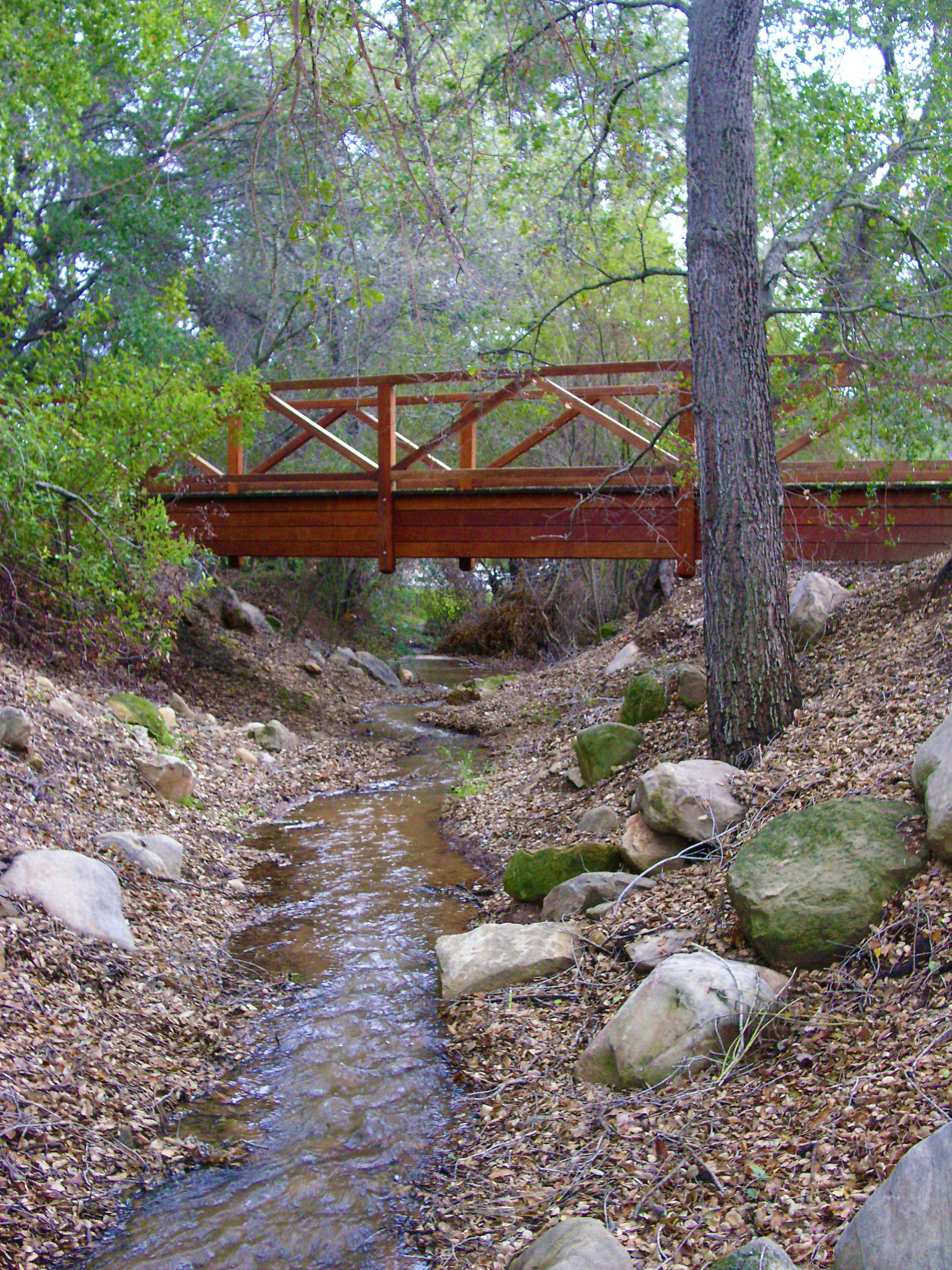 Backyard Bridge