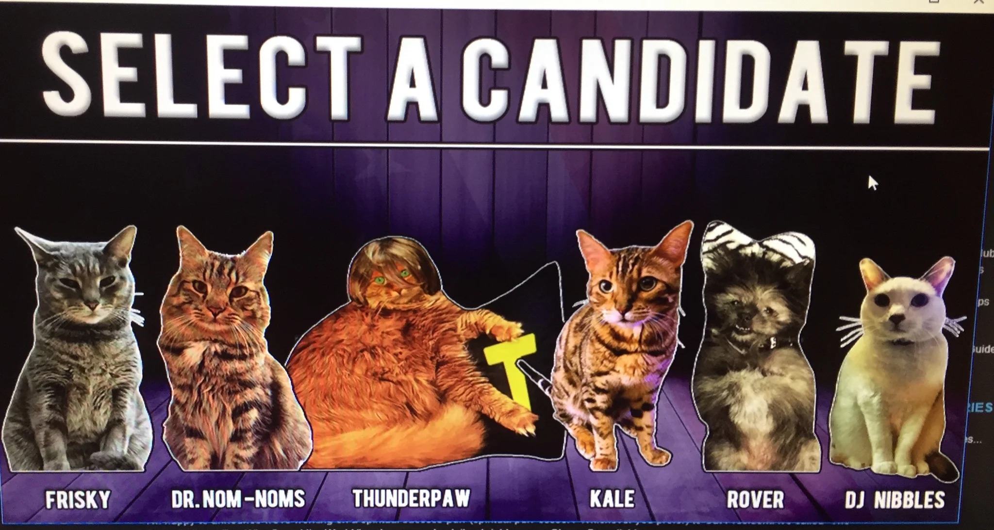 Cat president dating options