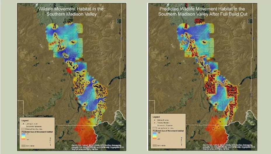 Estimating wildlife movement permeability. Dark blue areas are pinch points to movement. Panel on right indicates potential future development that could block wildlife movement.