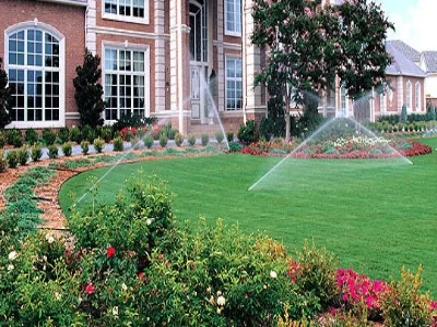 irrigation.jpg
