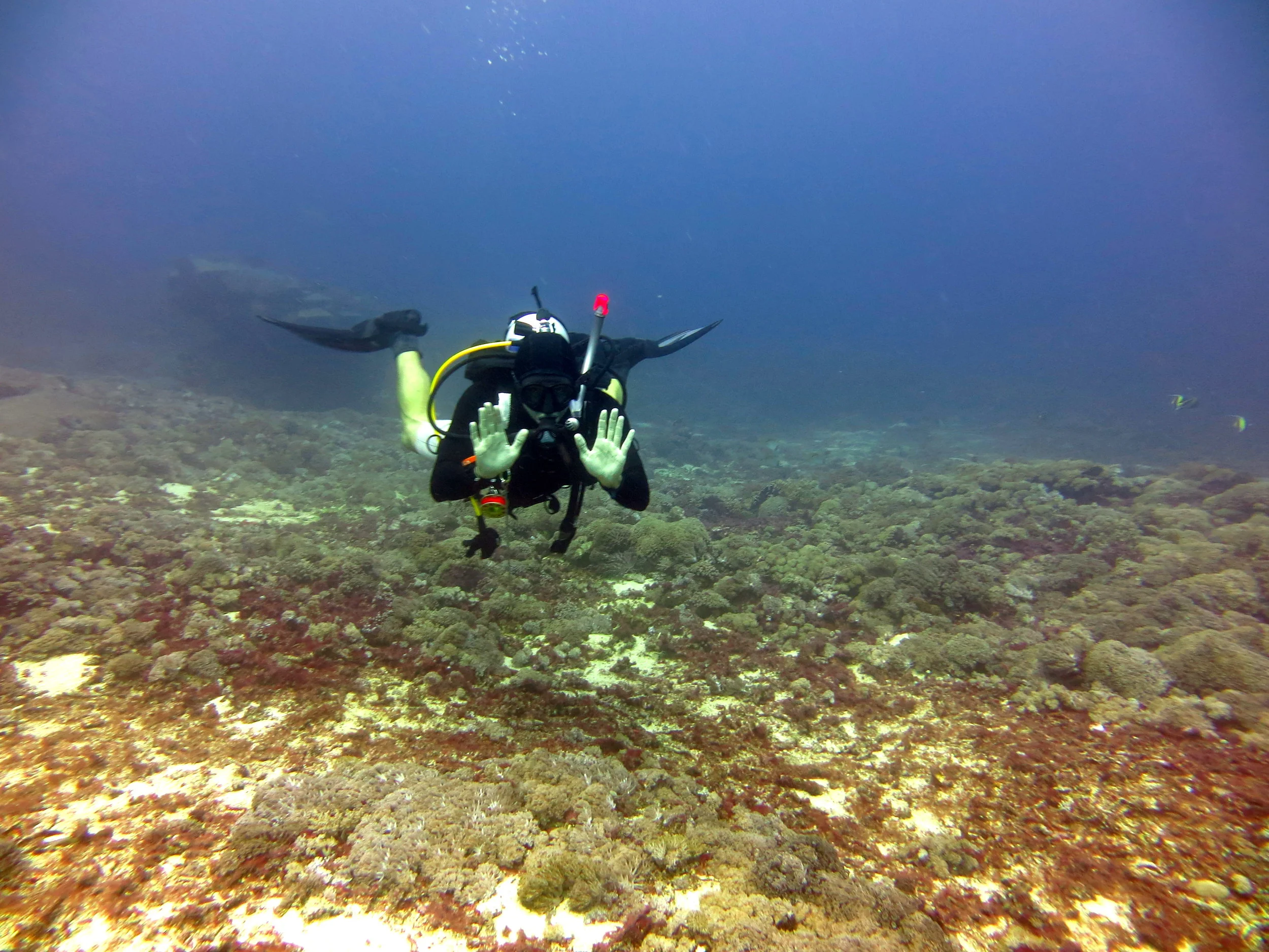 Buoyancy