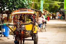 Gili T Transport - not like other holiday destinations!