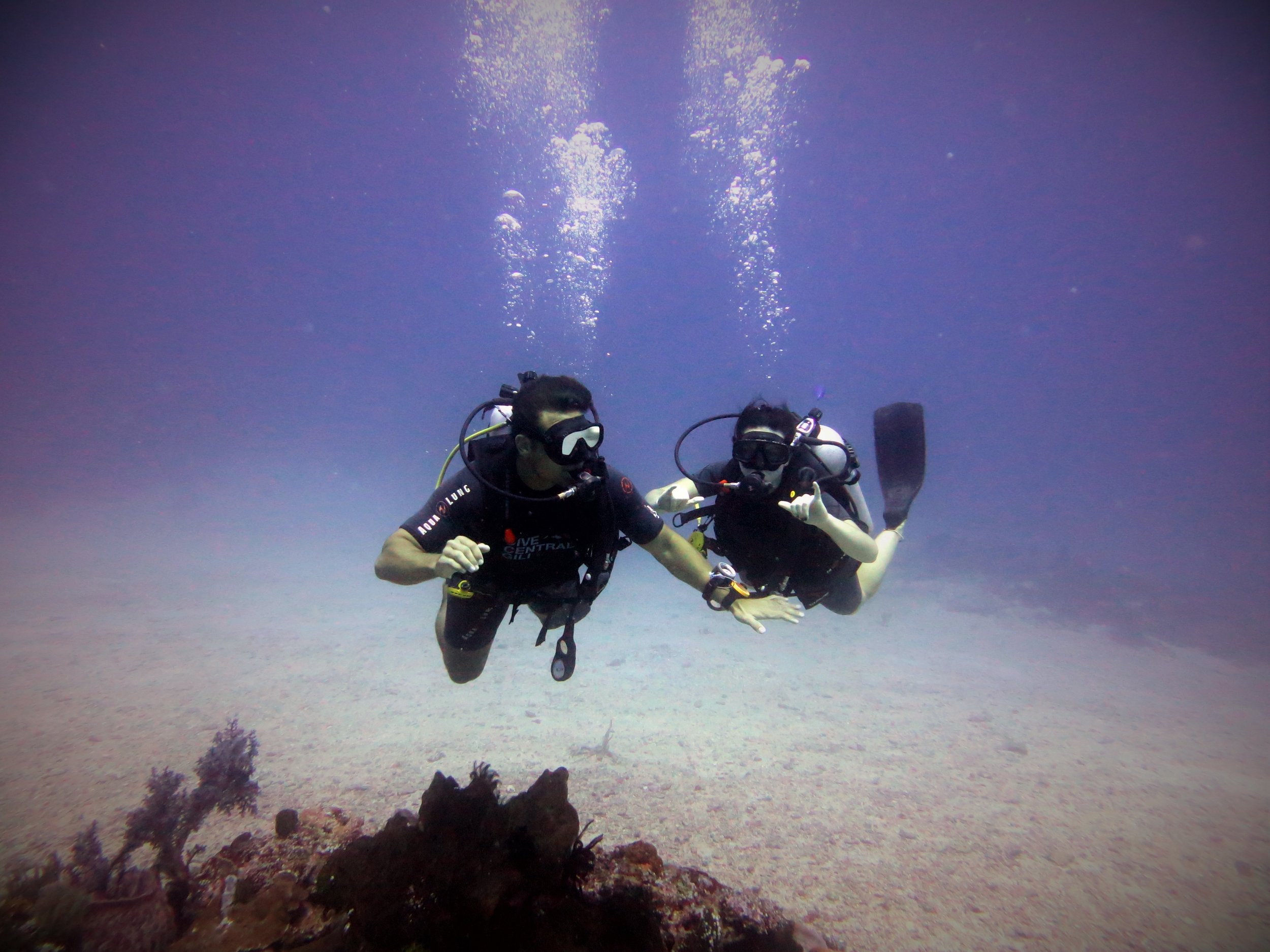 In the life of a Divemaster Candidate - my first independent dive!