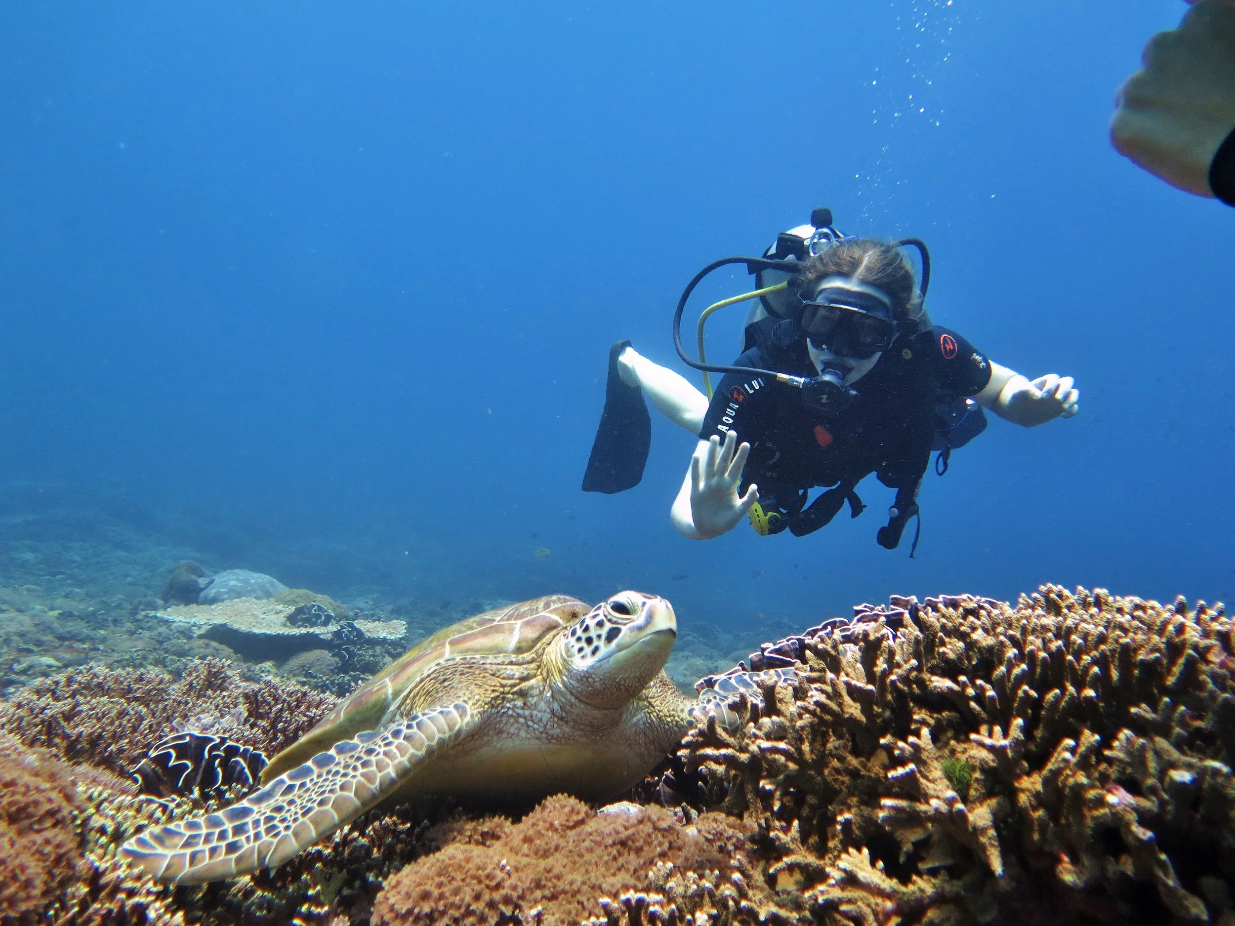 8 Tips to any new diver from a PADI instructor - part 1