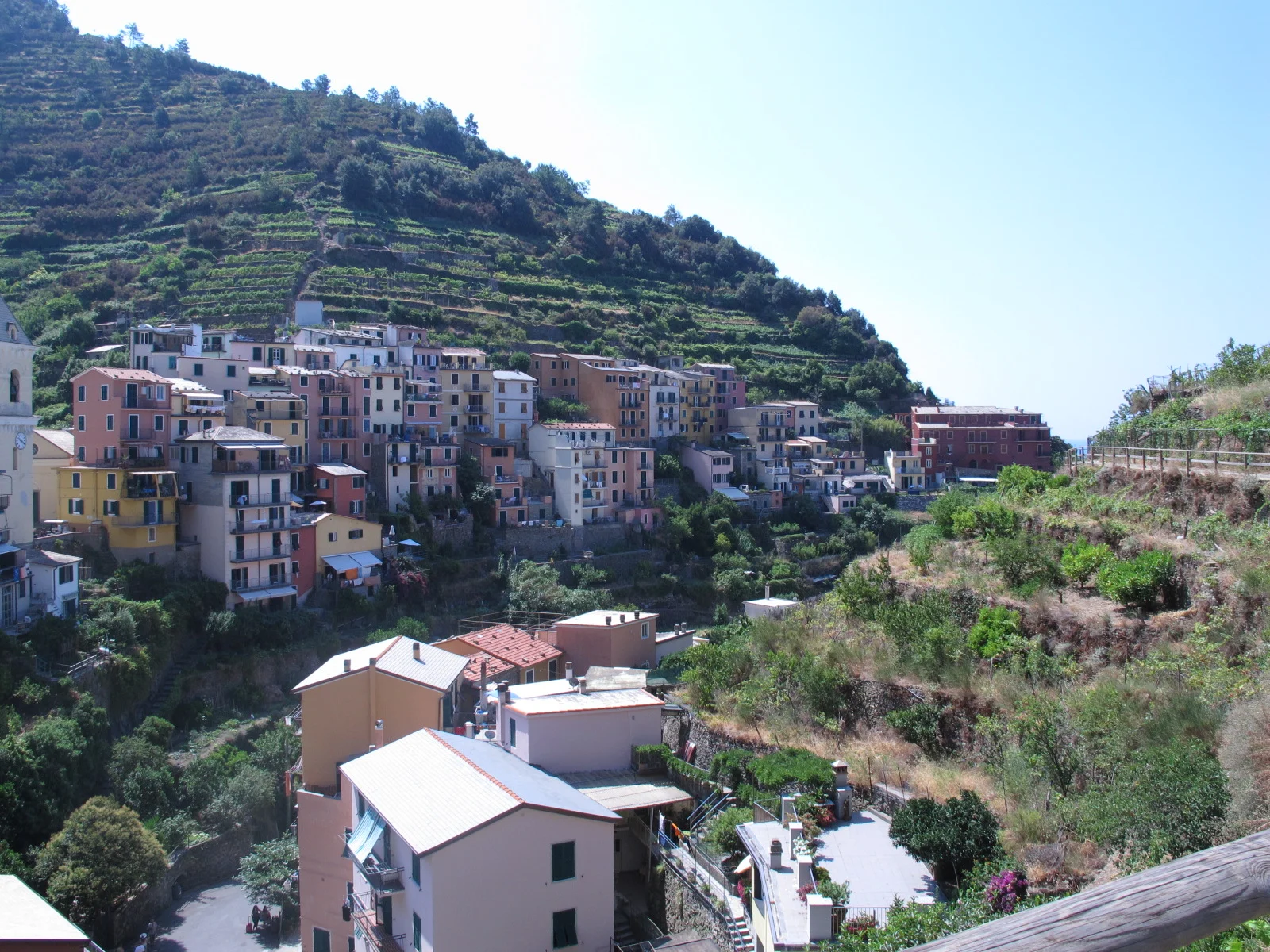 © 2015 Tracie Robinson