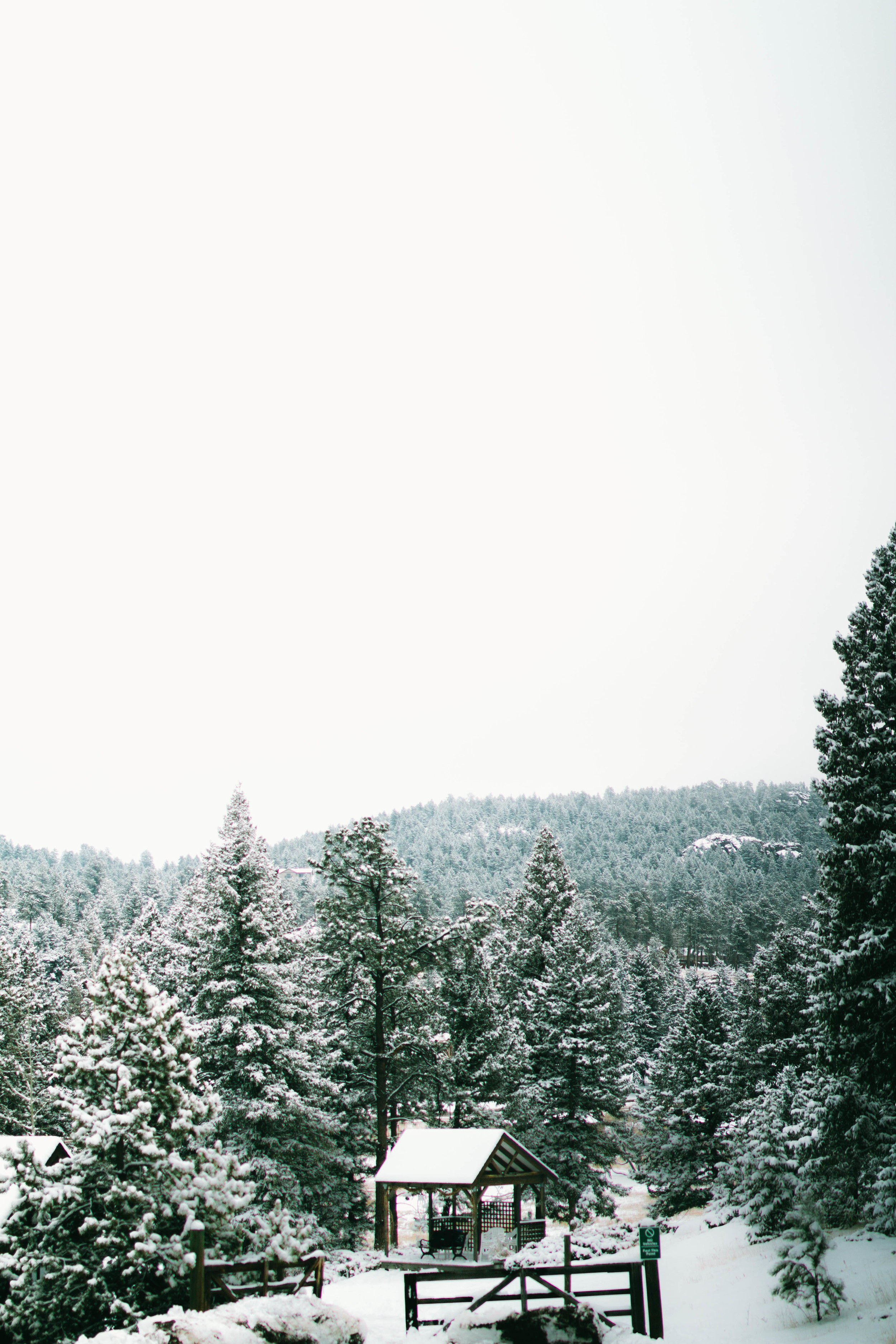 Bonin Wedding - Madeleine Bonin Photography-5700.jpg