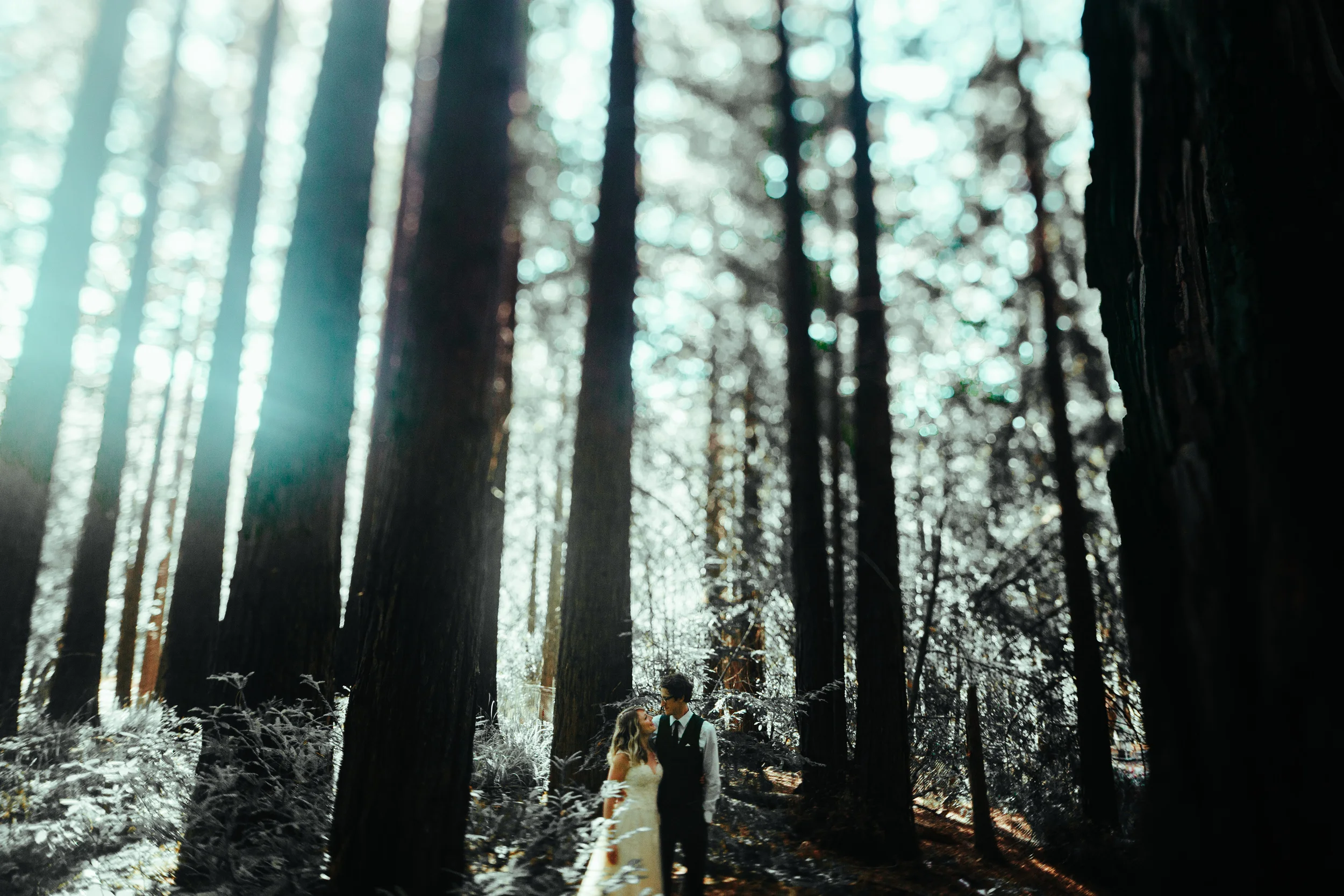 © Madeleine Bonin Photographer 2015-0062.jpg