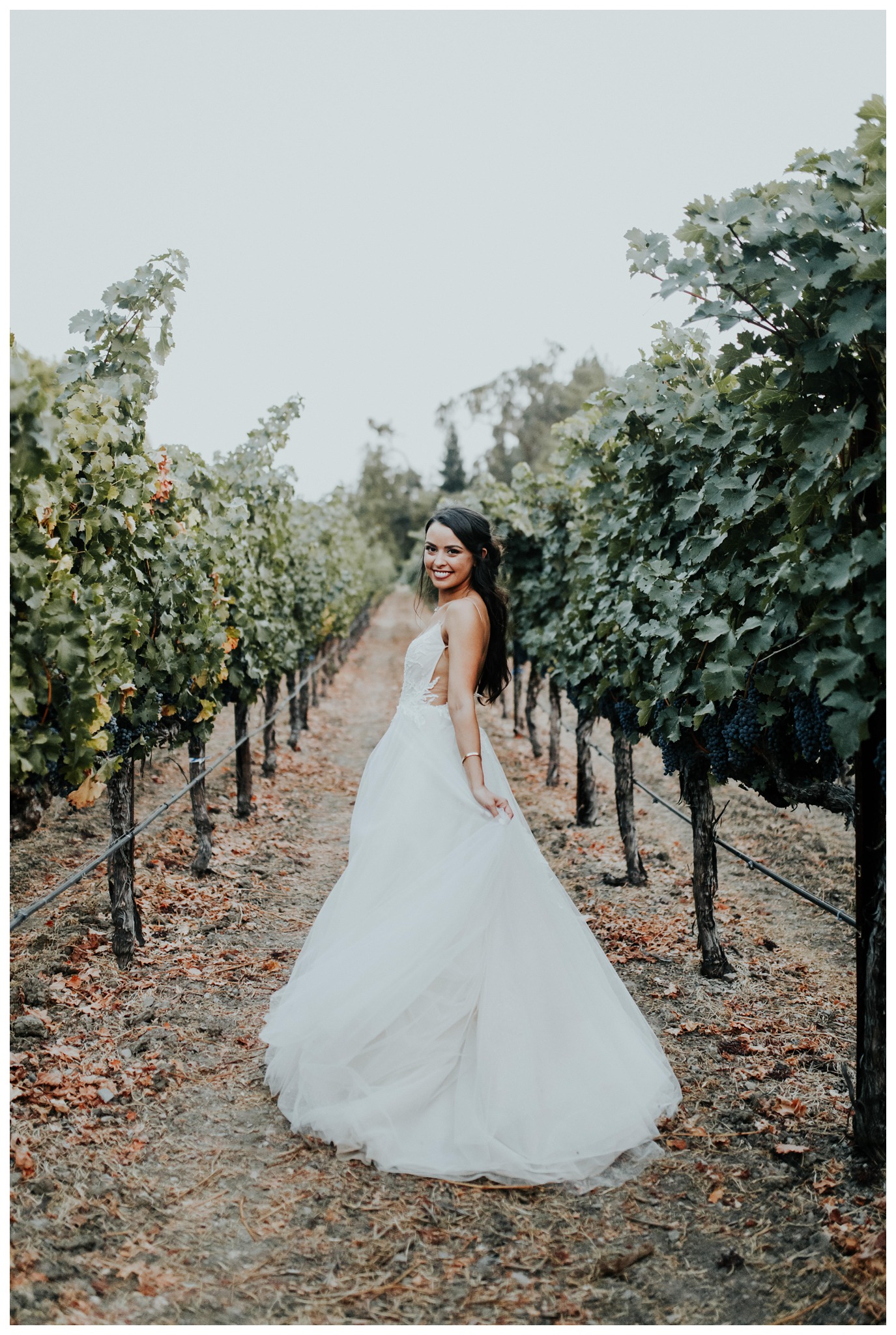 The Vintage Estates - Napa Valley - Yountville CA - Madeleine Frost Weddings-2172.jpg