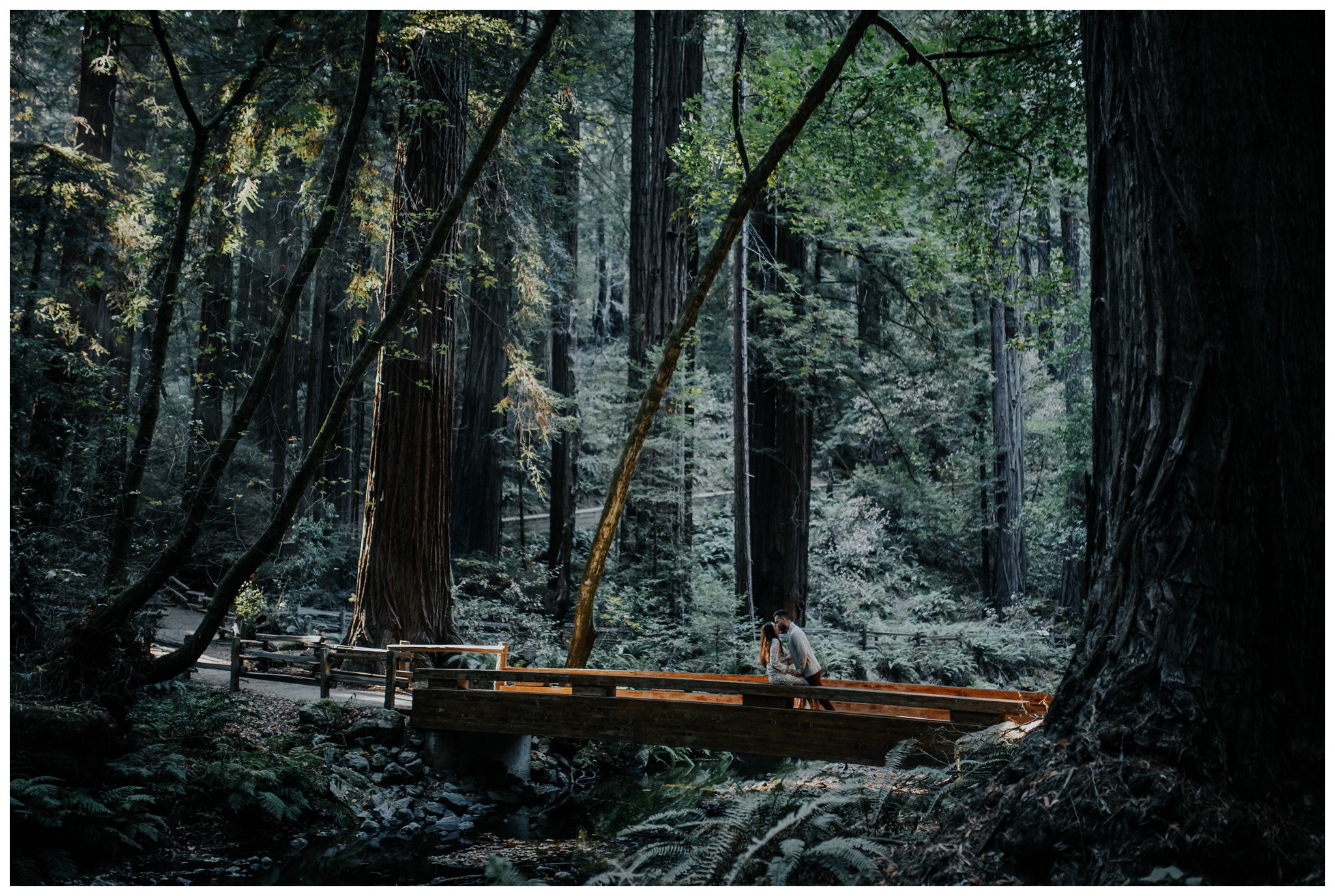 San Francisco - Muir Woods - China Beach Engagement Session -2063.jpg