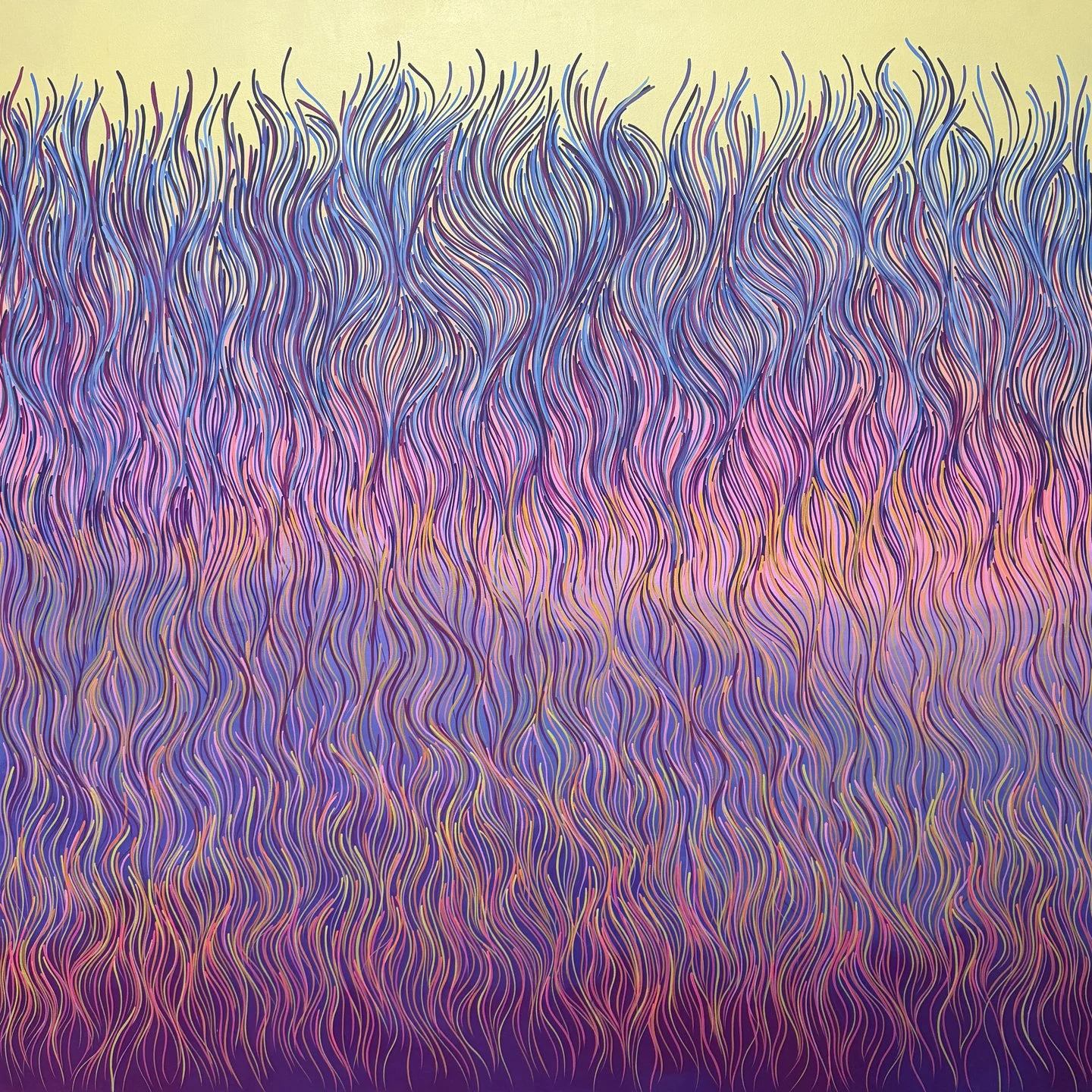 14. the shape of what follows.jpg