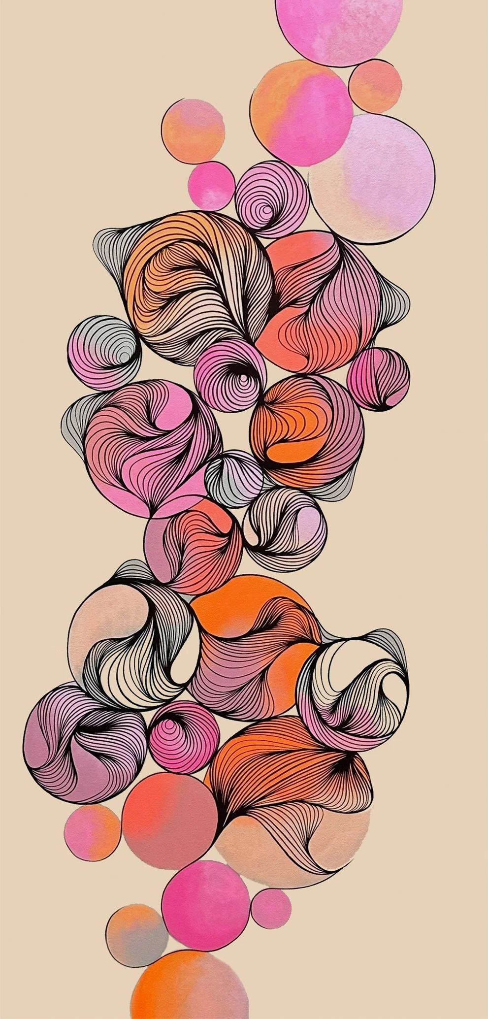 21. adaptation IV.jpg