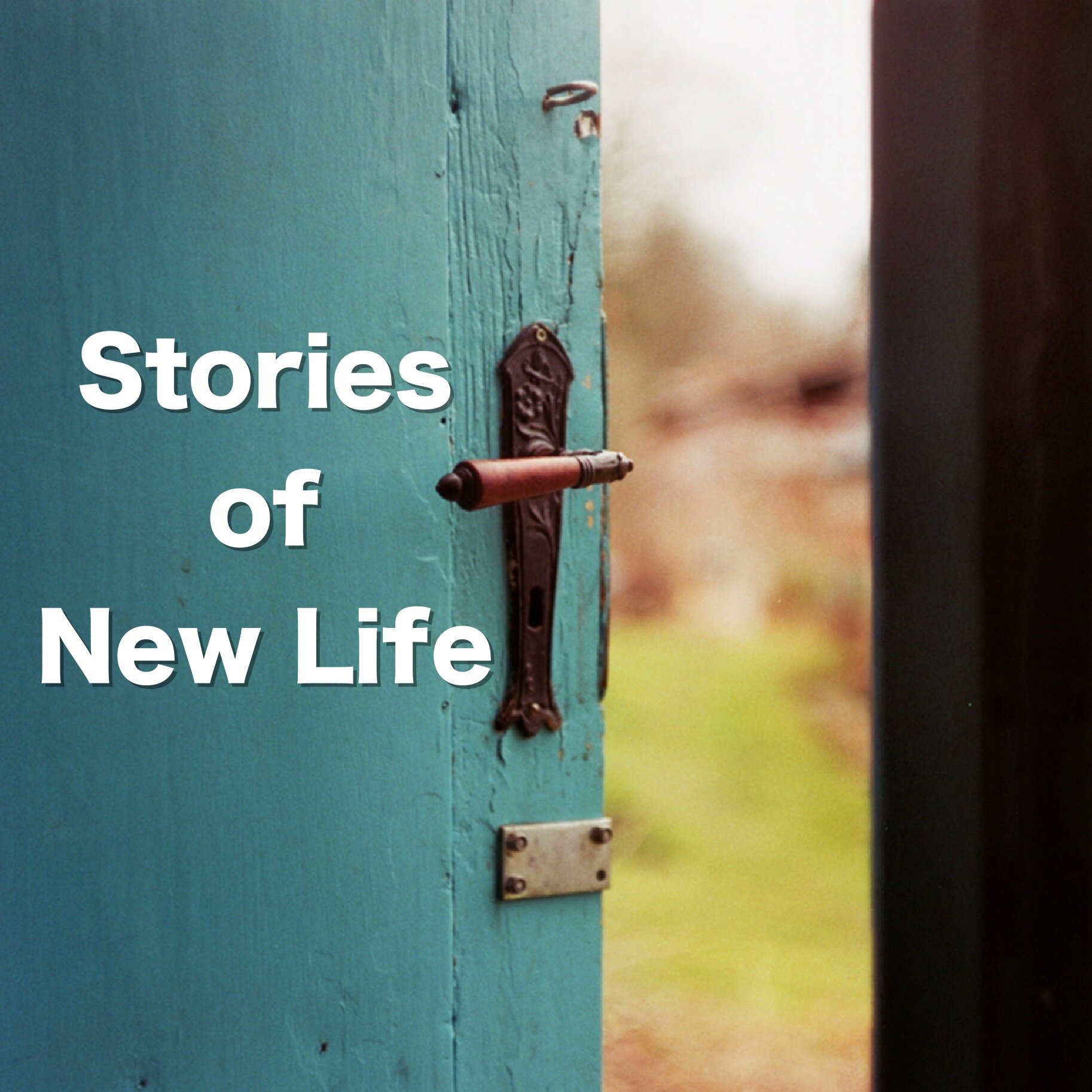 Stories of New Life 2.jpg