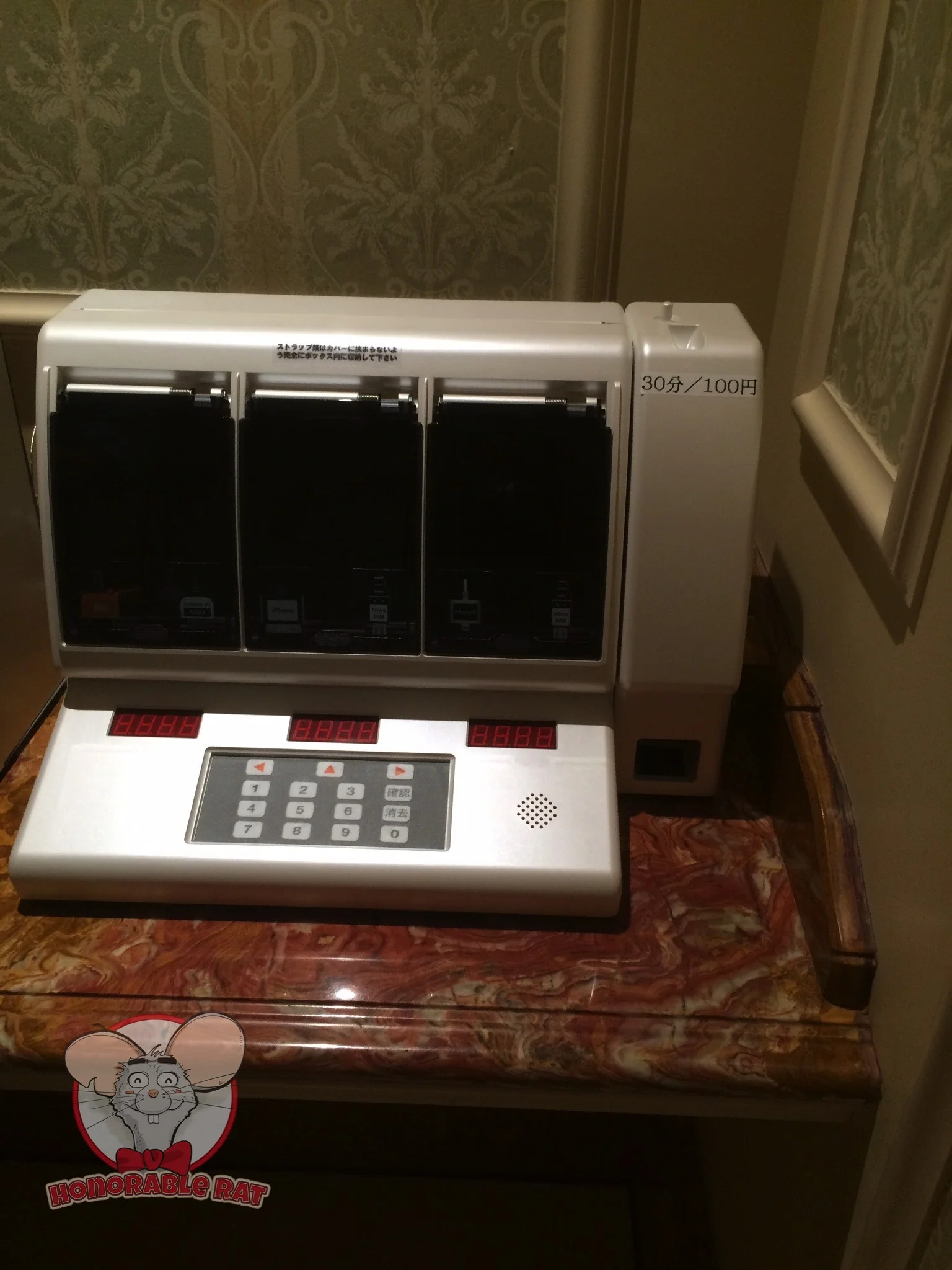 Charging Station in Tokyo Disneyland Hotel