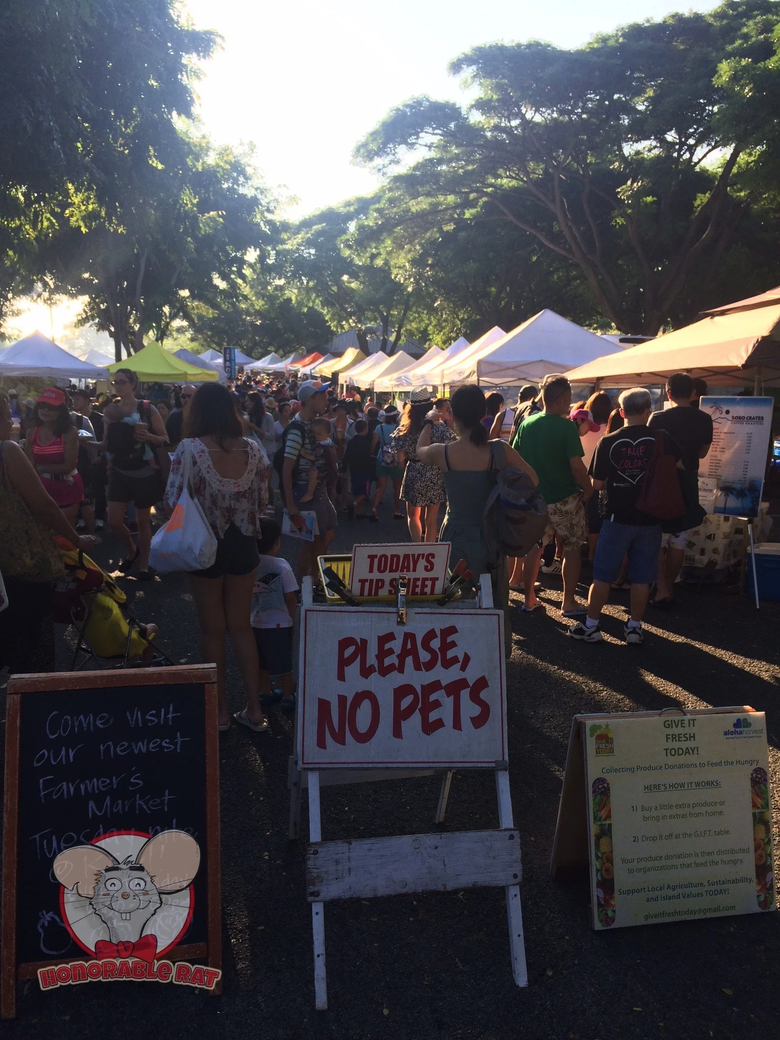 KCC Farmer's Market