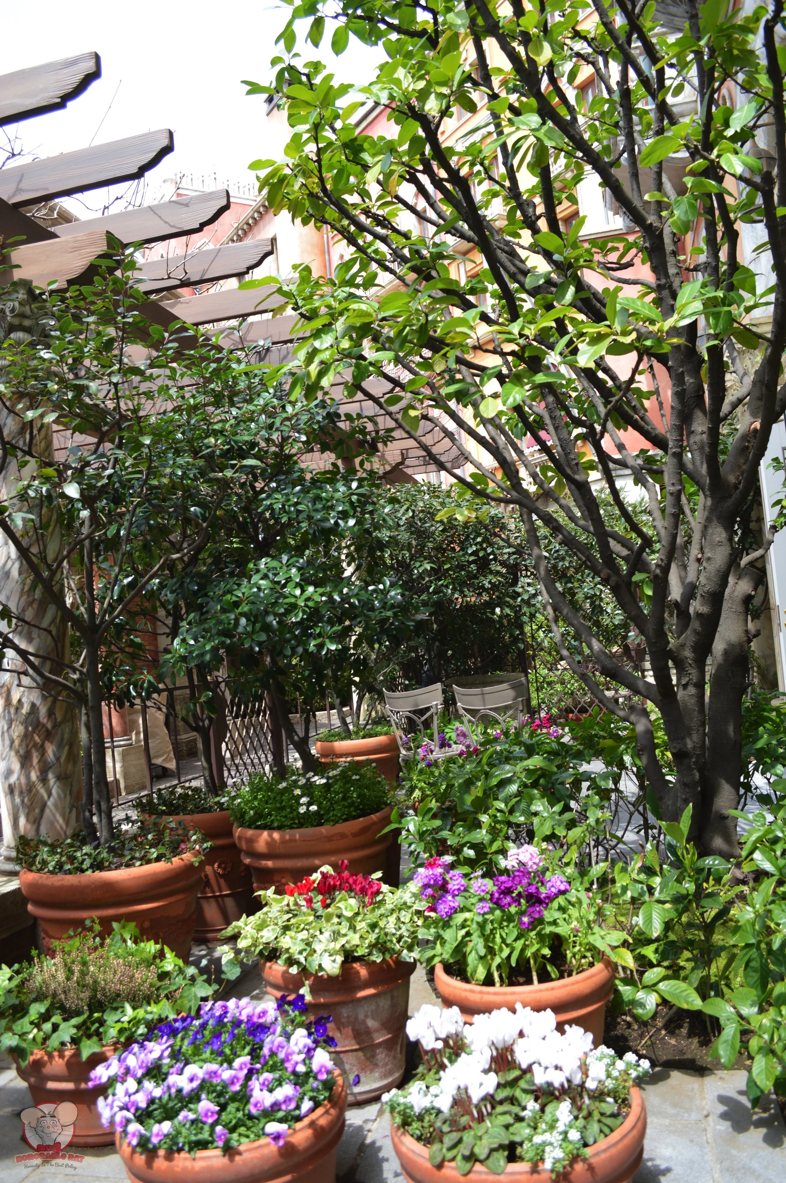 Garden at the patio