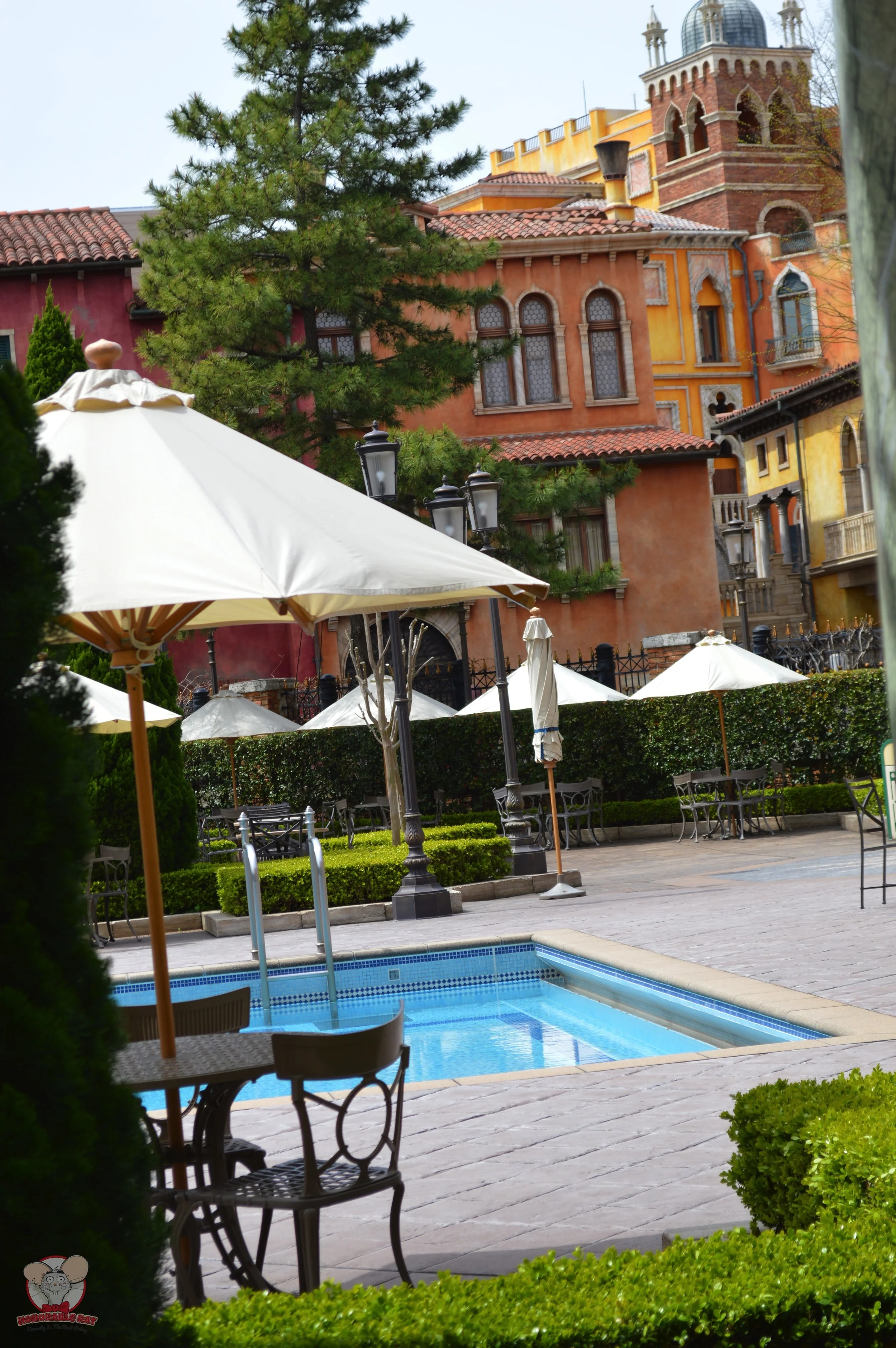 View of the pool from the patio
