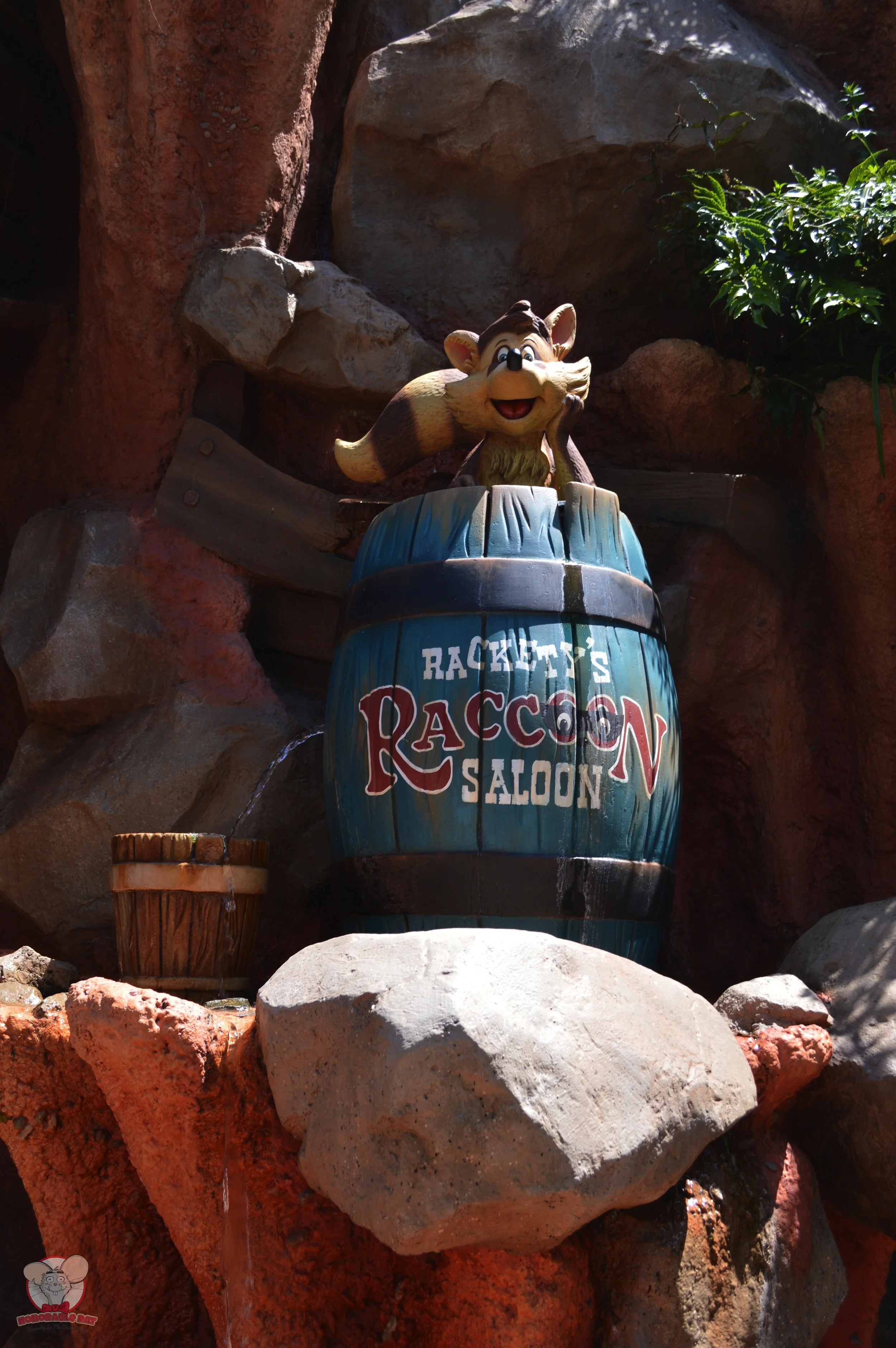Rackety Raccoon hiding in a barrel