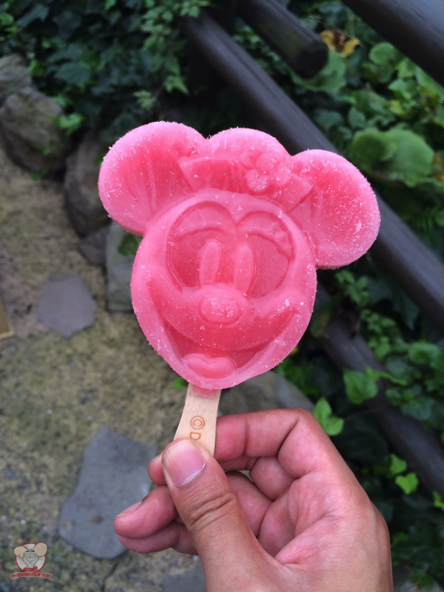 Minnie Ice Bar