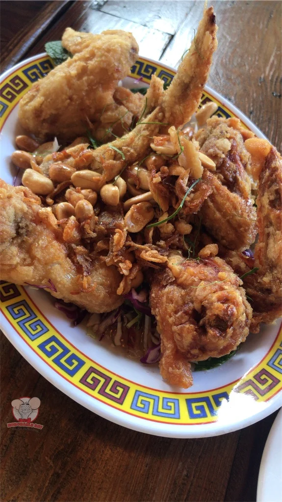 LFC Wings - The Star Of The Show