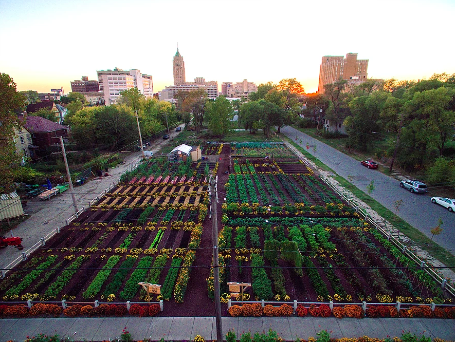 A 1/4 acre farm