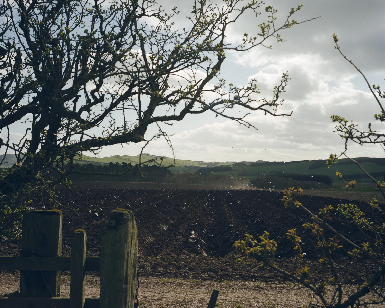 TheBorderland 6166-S1-0006.jpg