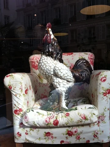 Cool window shopping