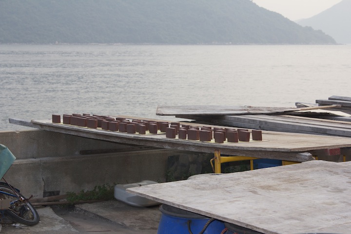Shrimp paste, Tai O's main industry, drying in the sun. 