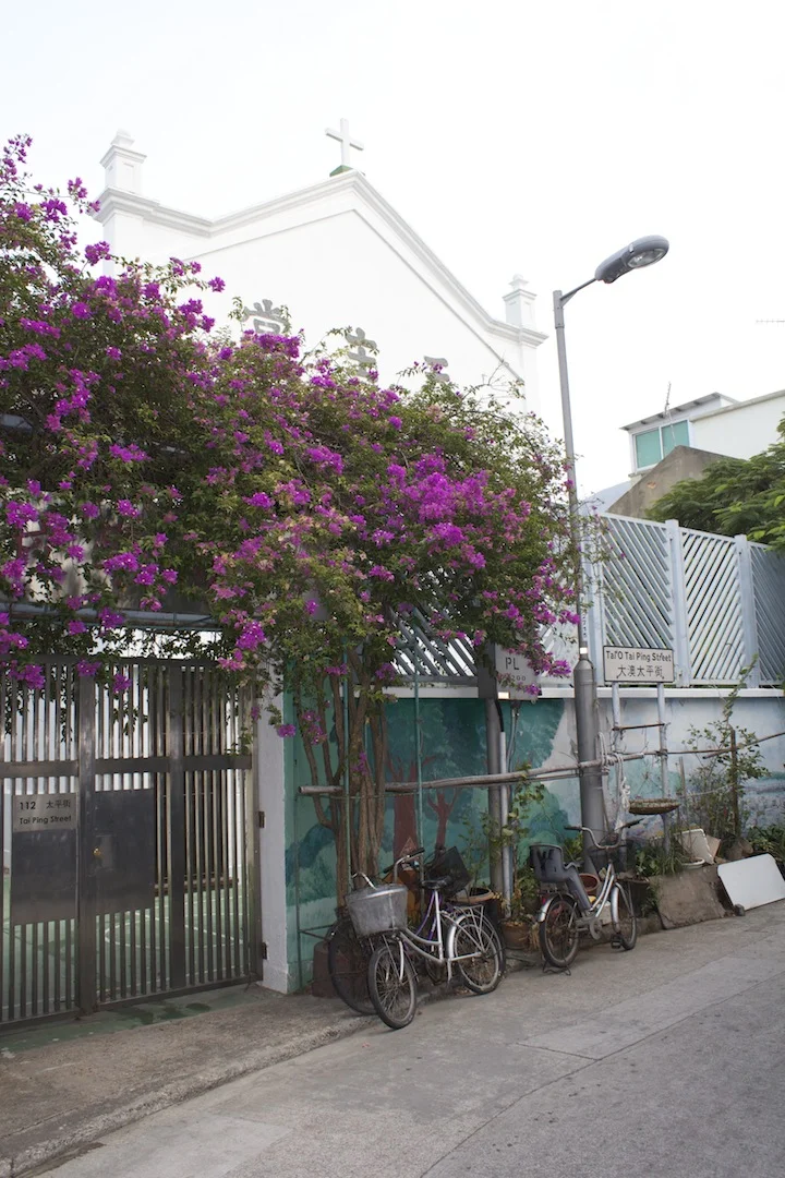 Tropical blooms and bikes 