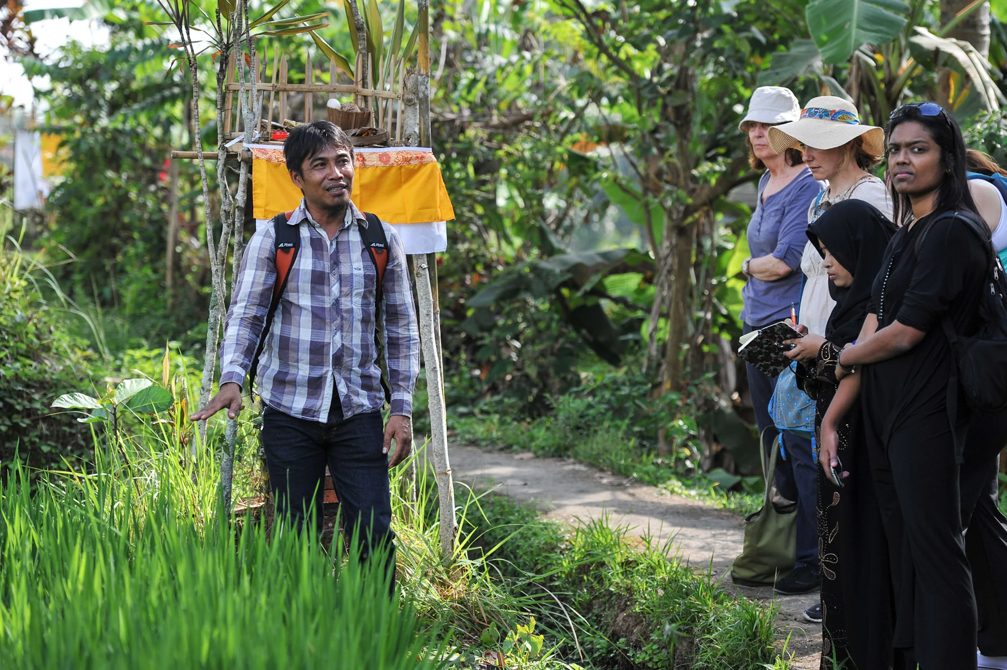 Ubud Writers & Readers Festival Tour Guide Westie takes us for a walk, Jalan Jalan, through the rice fields, points out the local herbs and tells us how they are used for both cooking and healing. Image Credit: Matt Oldfield. Jalan Jalan.