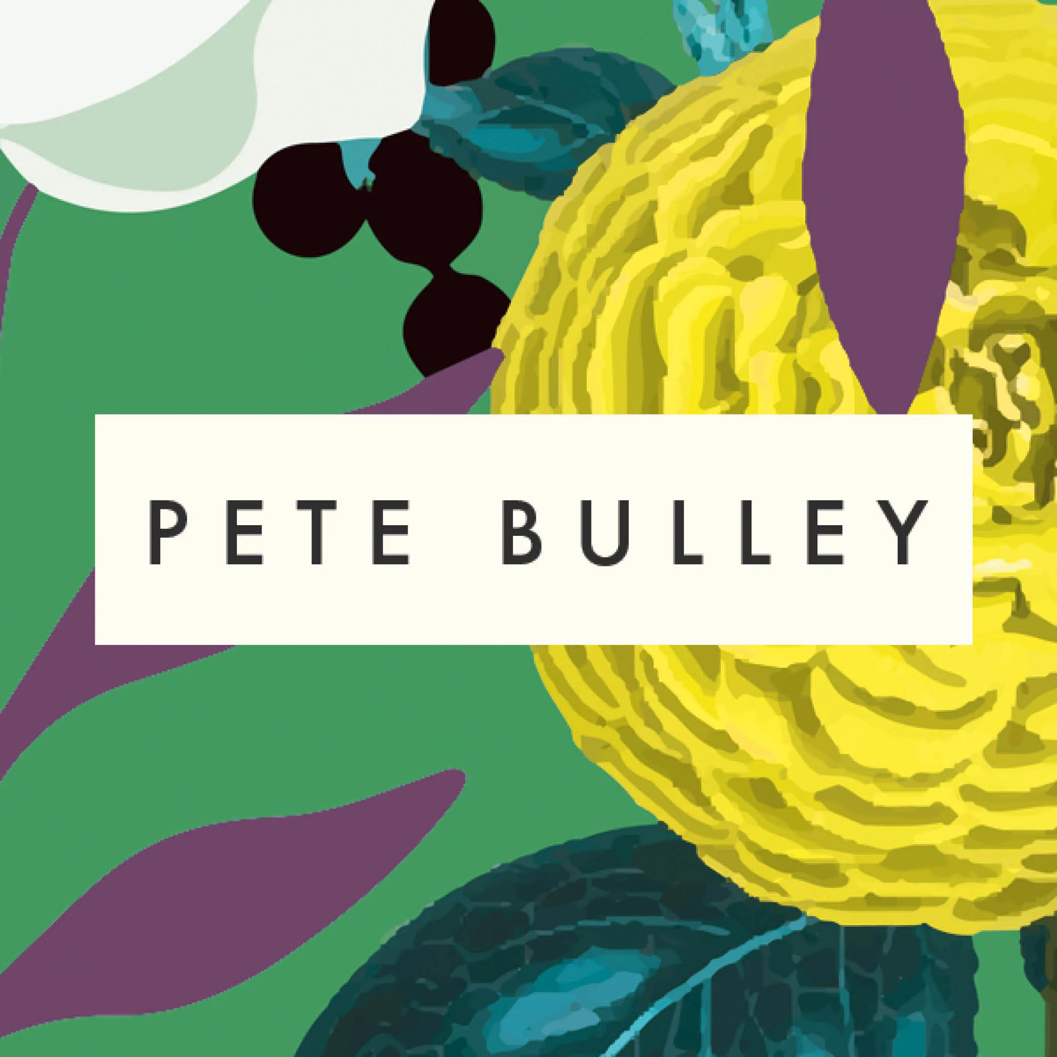 PeteBulley.jpg