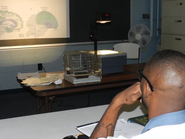 Emory Songbirds visit the prison classroom