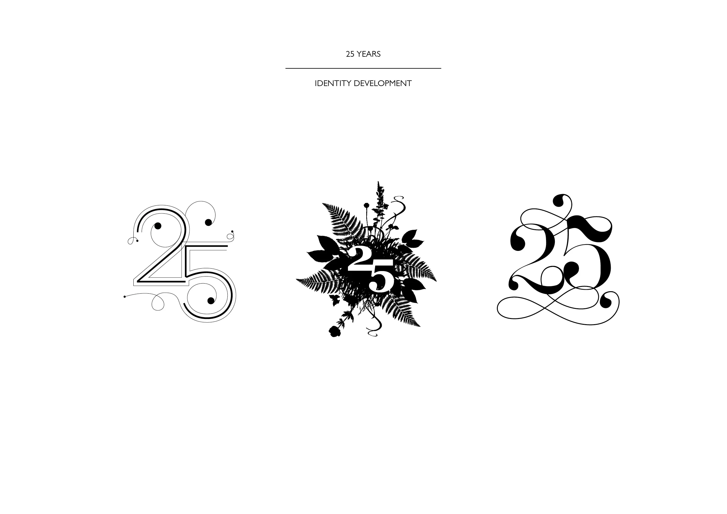 25year_Portfolio_V13.jpg