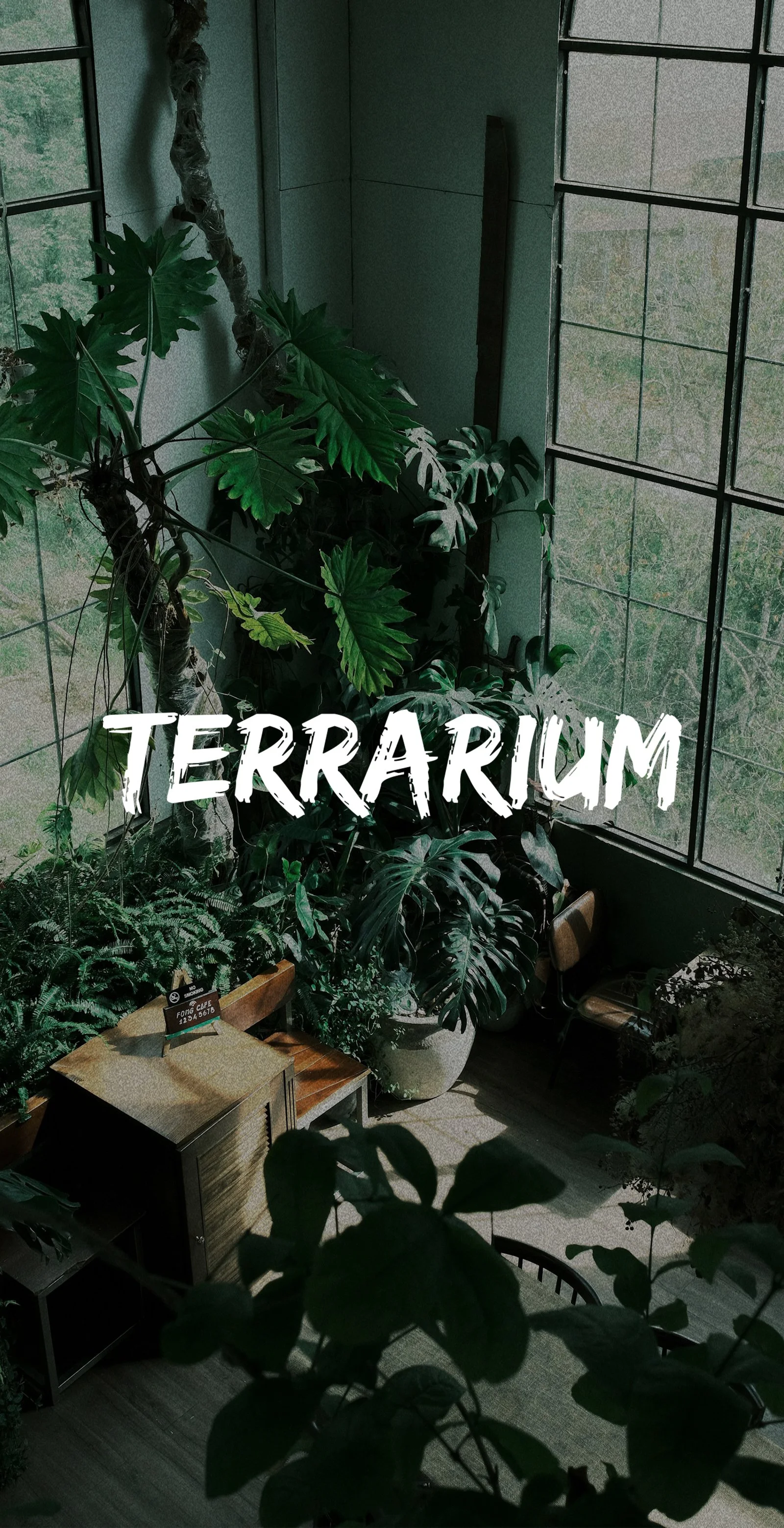 Terrarium