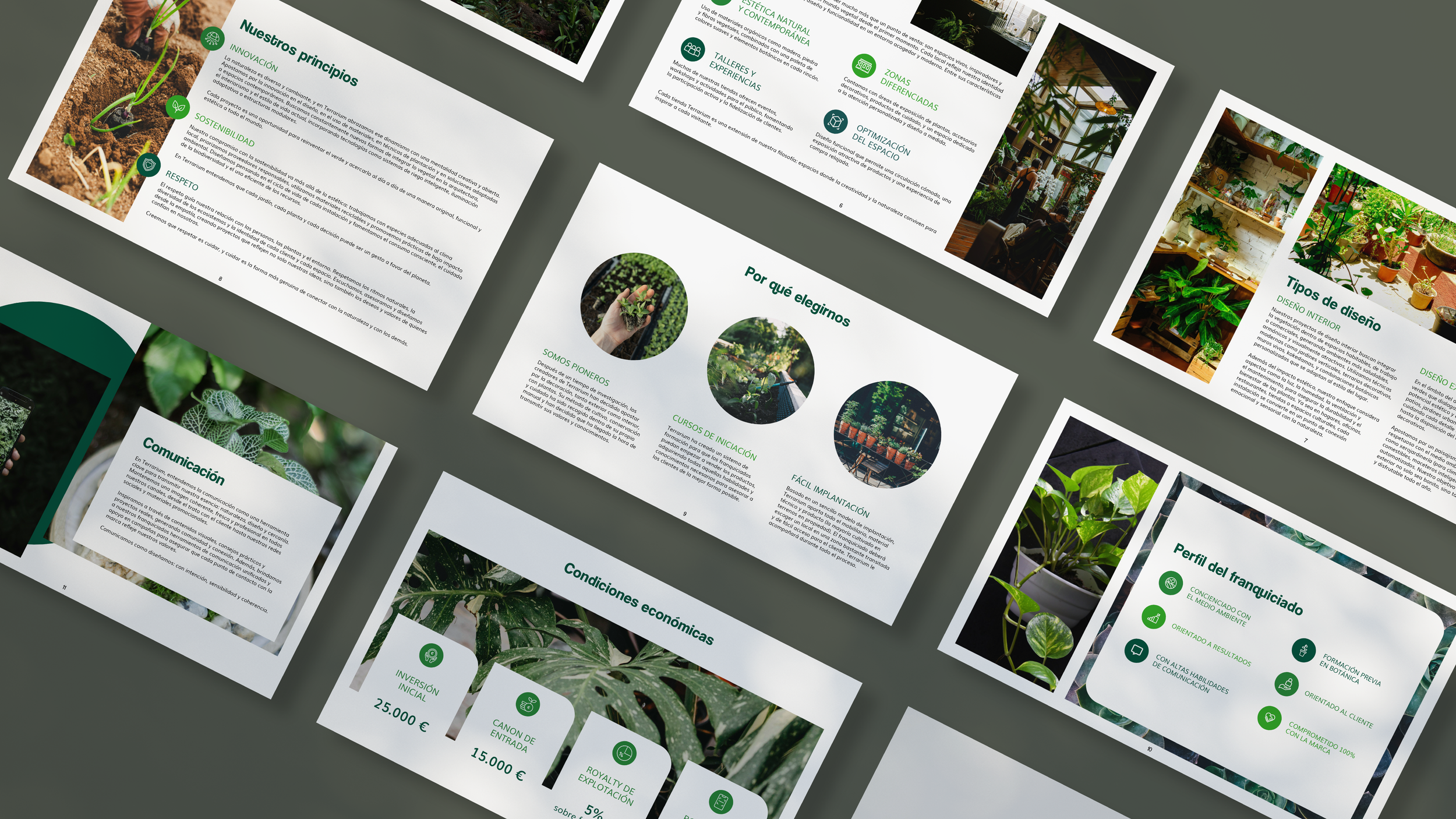 Mockup Dosier Informativo de Franquicia Terrarium