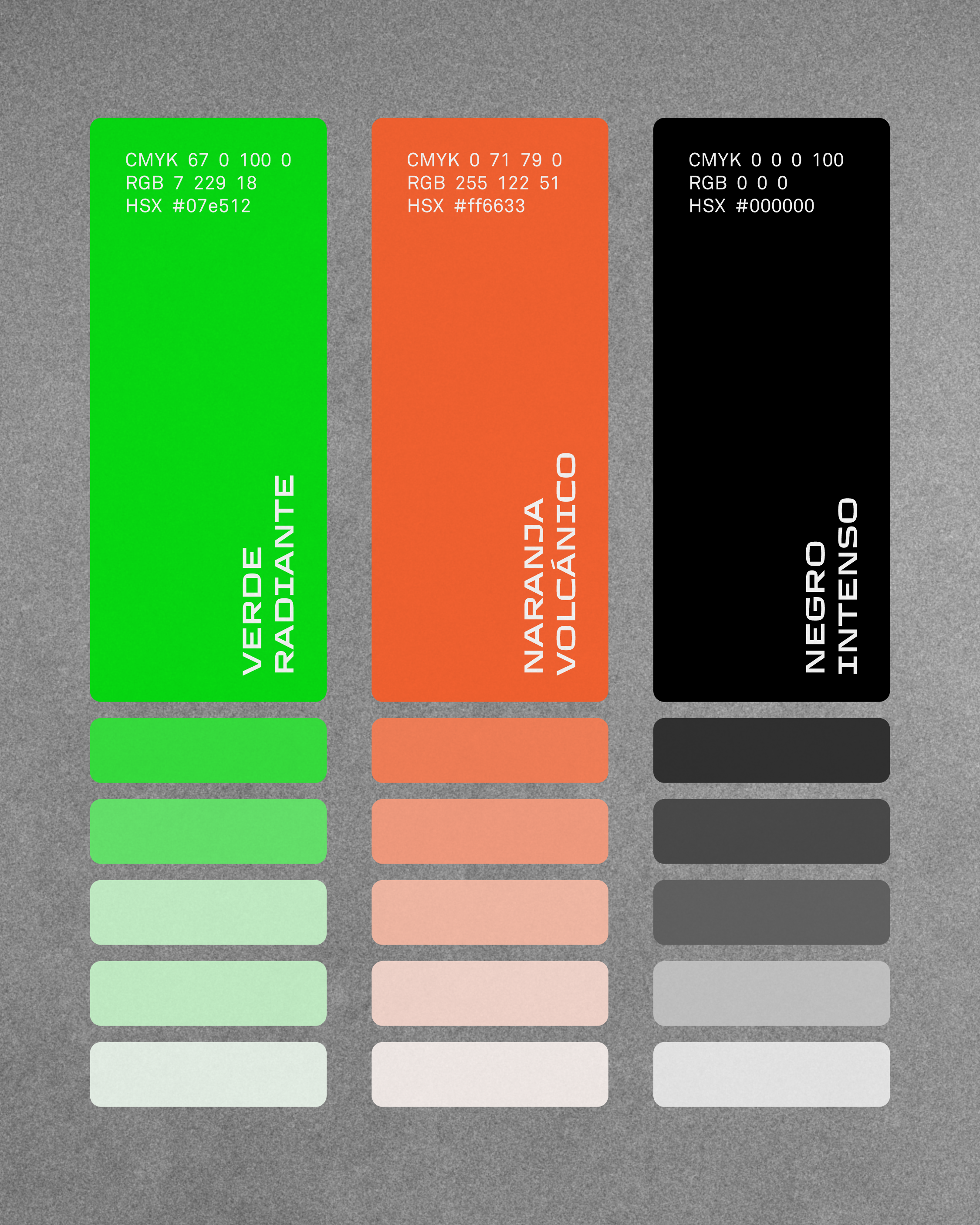 Colores principales SOLO