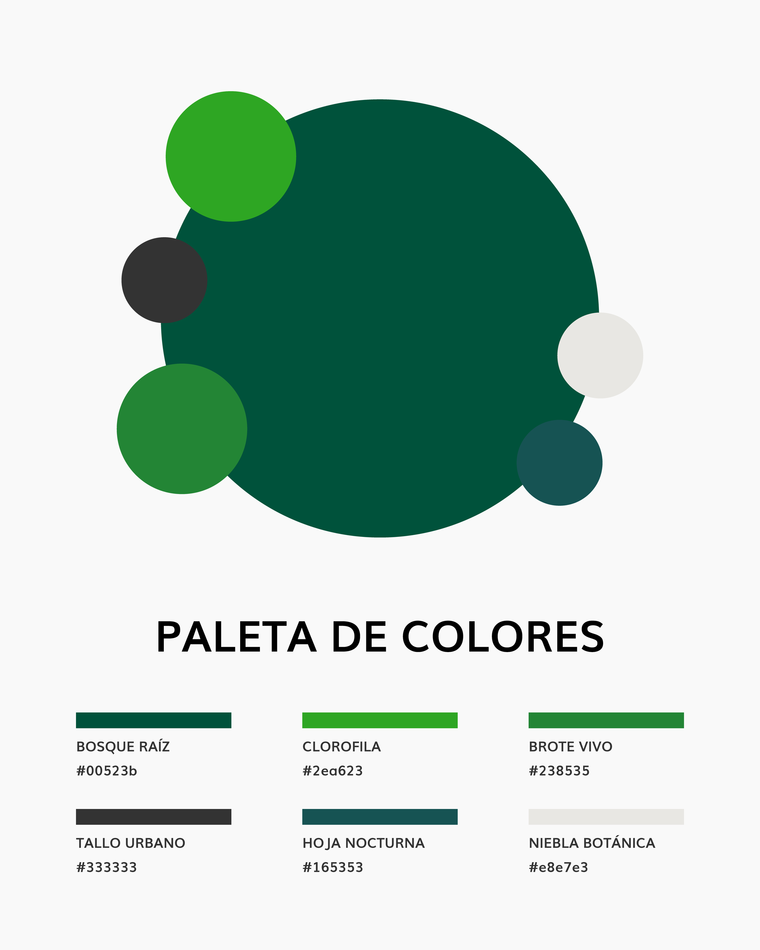 Colores Terrarium