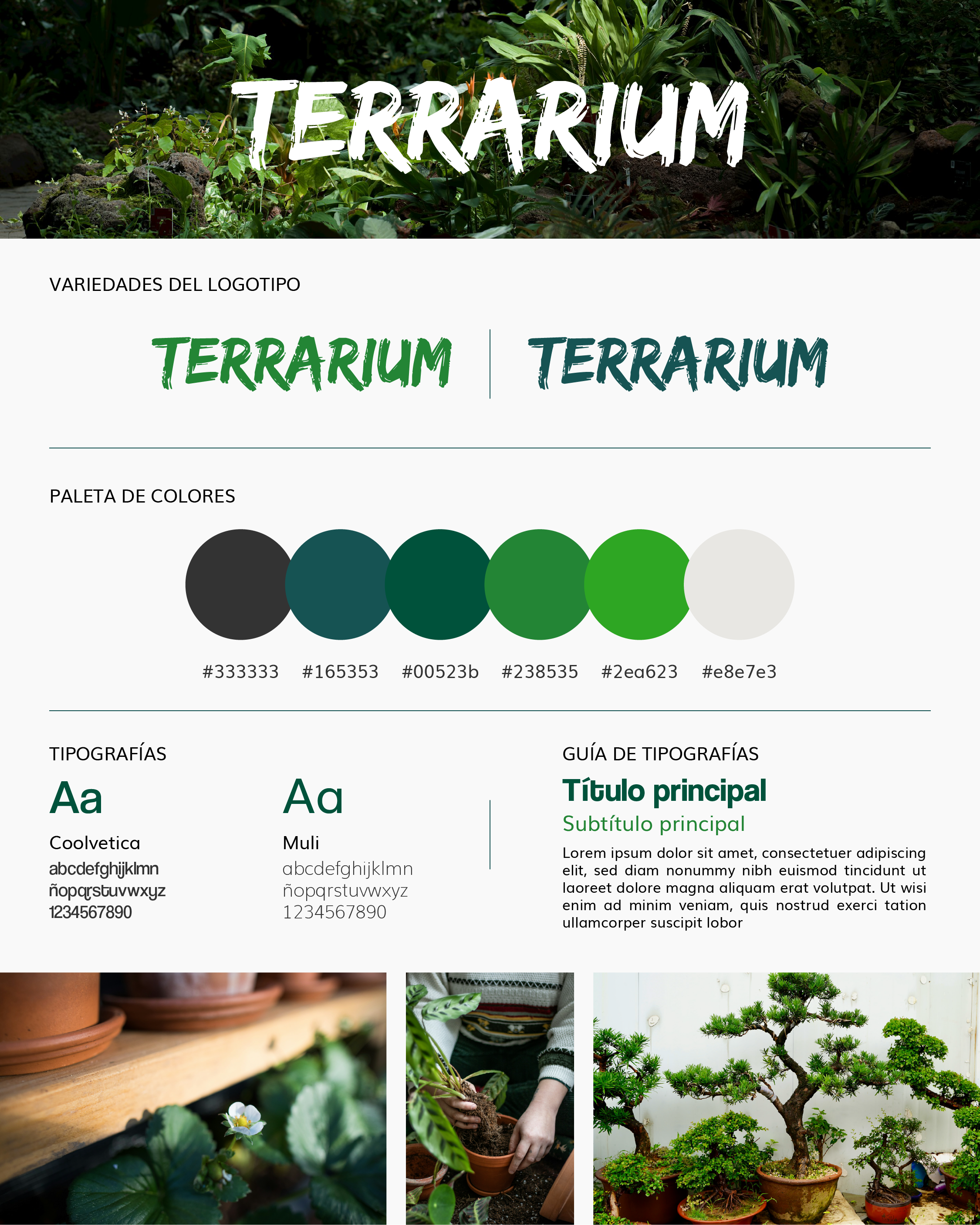 Moodboard Terrarium