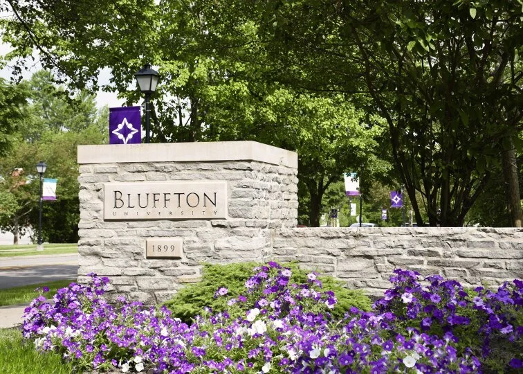 Diversity Stories — OFIC