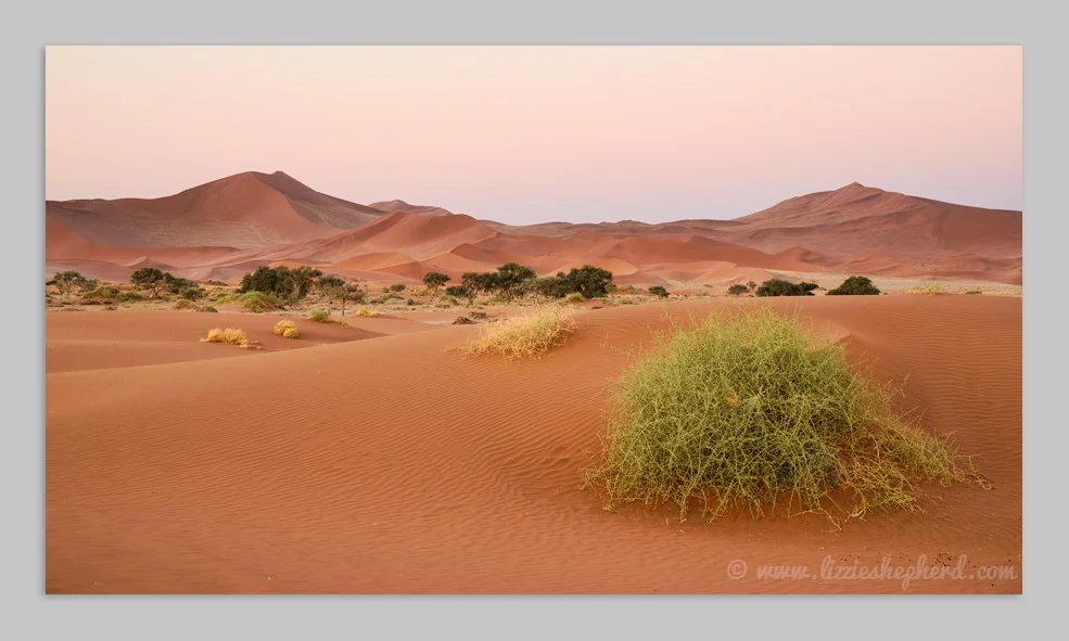  Soft pinks at dusk , Sossusvlei . © Lizzie Shepherd