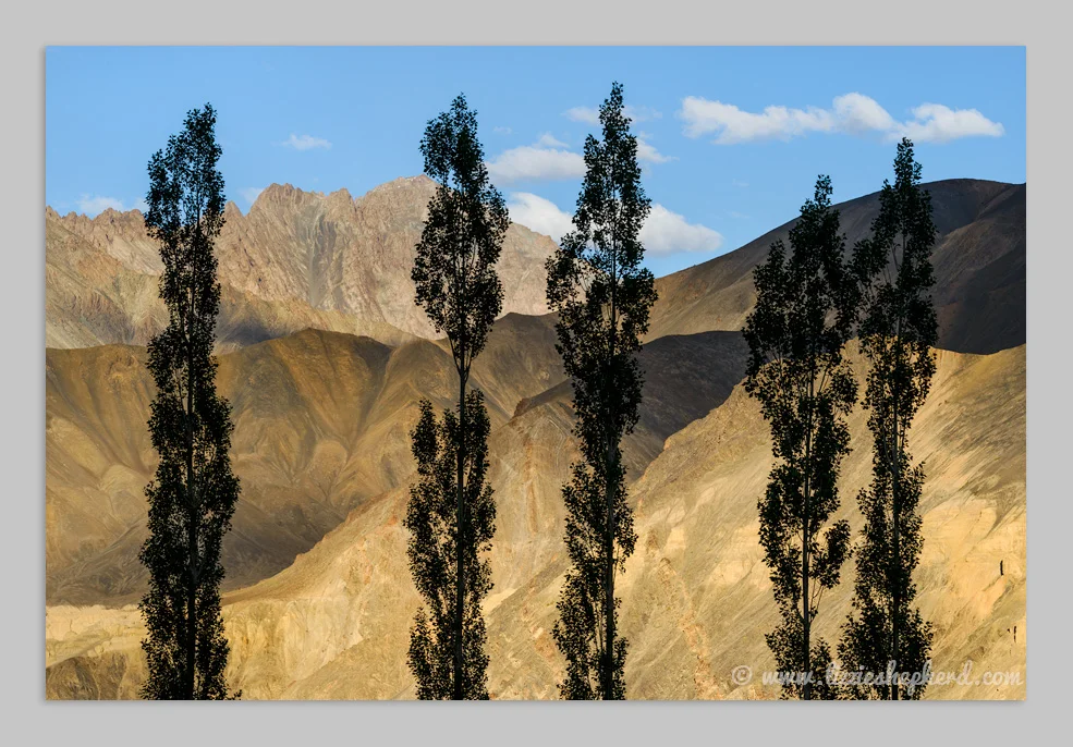 Poplar trees silhouetted against the mountain ridges of Moonland Lamaruyu. © Lizzie Shepherd