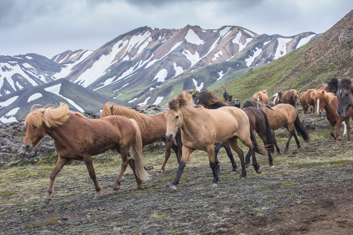 Iceland-108.jpg