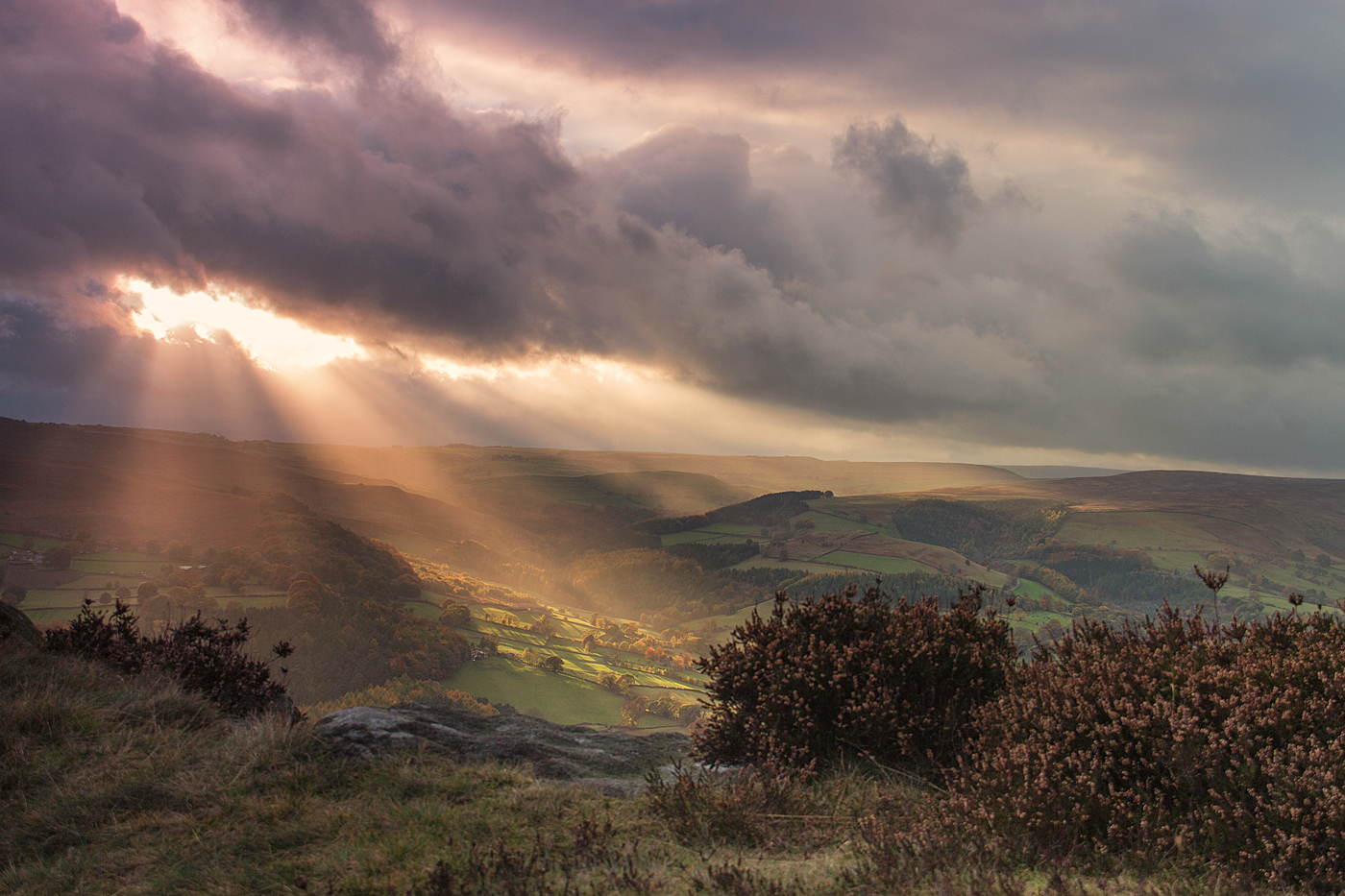 Evening Sun at Millstone Edge :: Alison Taylor :: all rights reserved