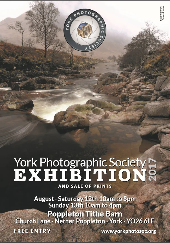 yps poster.jpg