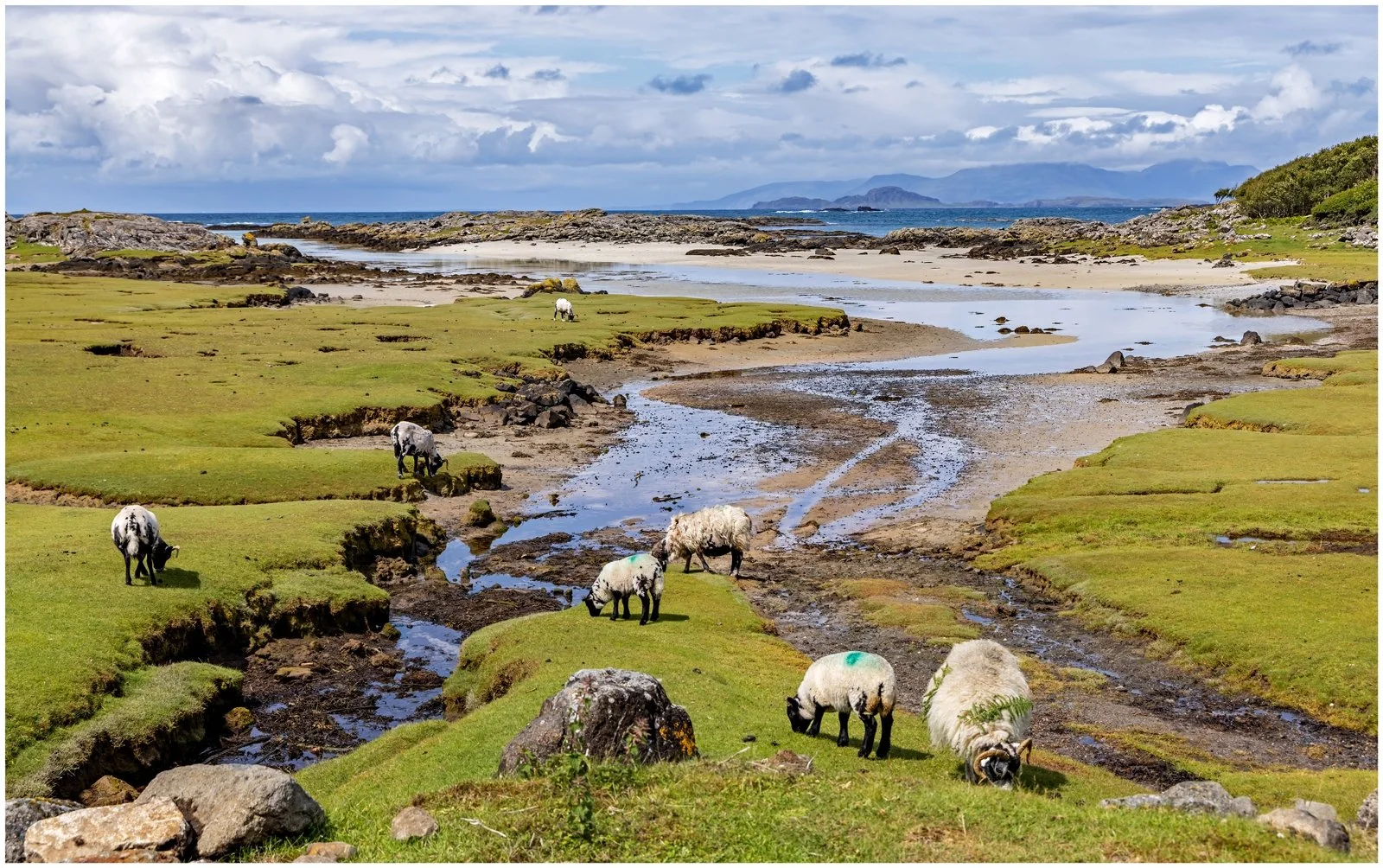 Antony Ward_003_Portuairk on the western tip of Ardnamurchan.jpg