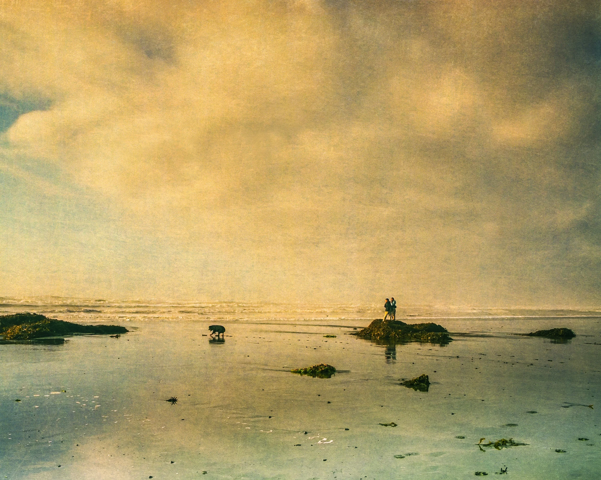 Sunset Beach With Dog