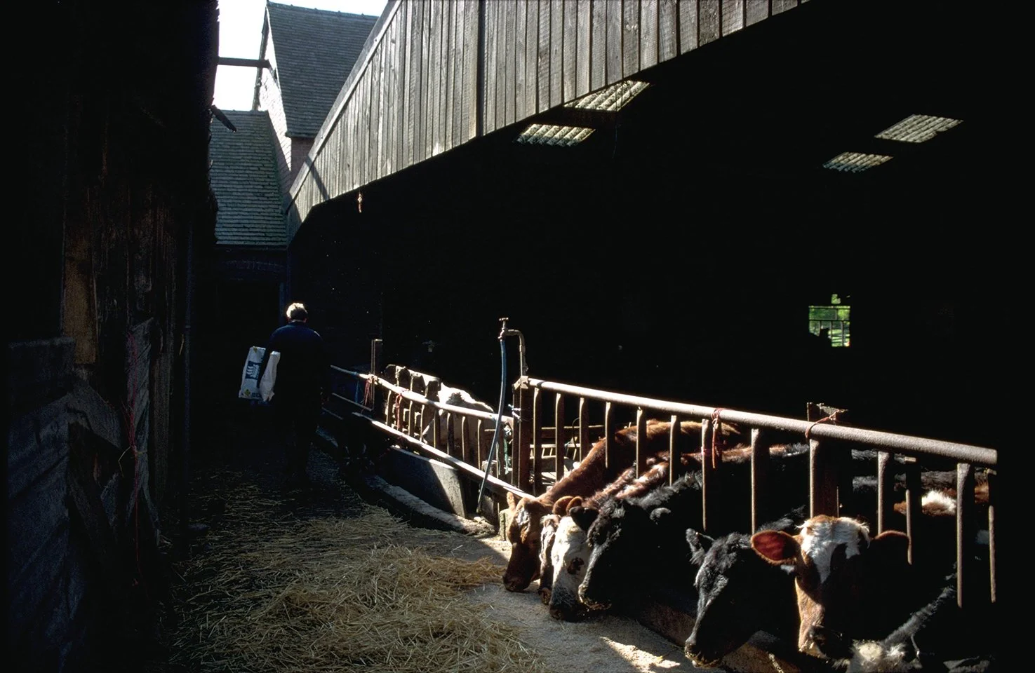 EnglishFarmer-LR.jpg