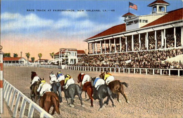 A Day at the Races at the New Orleans Fairgrounds, held in the "Master Derby" Suite, including lunch & beverages for a party of twelve. A race to be named after the Host and to include trophy presentation to the winning horse and jockey (picture included). Owner of the suite will contribute a $500.00 food and bar tab for the event. value: $1,000