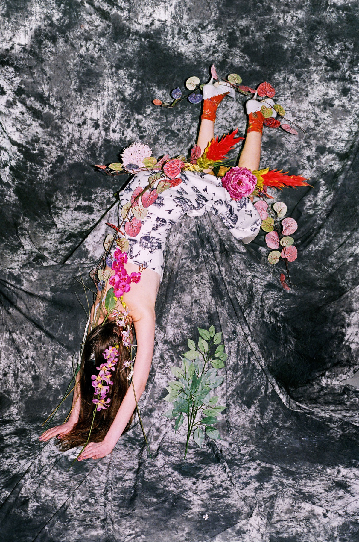 9_synchrodogs_the_cut.nocrop.w2000.h3000.jpg