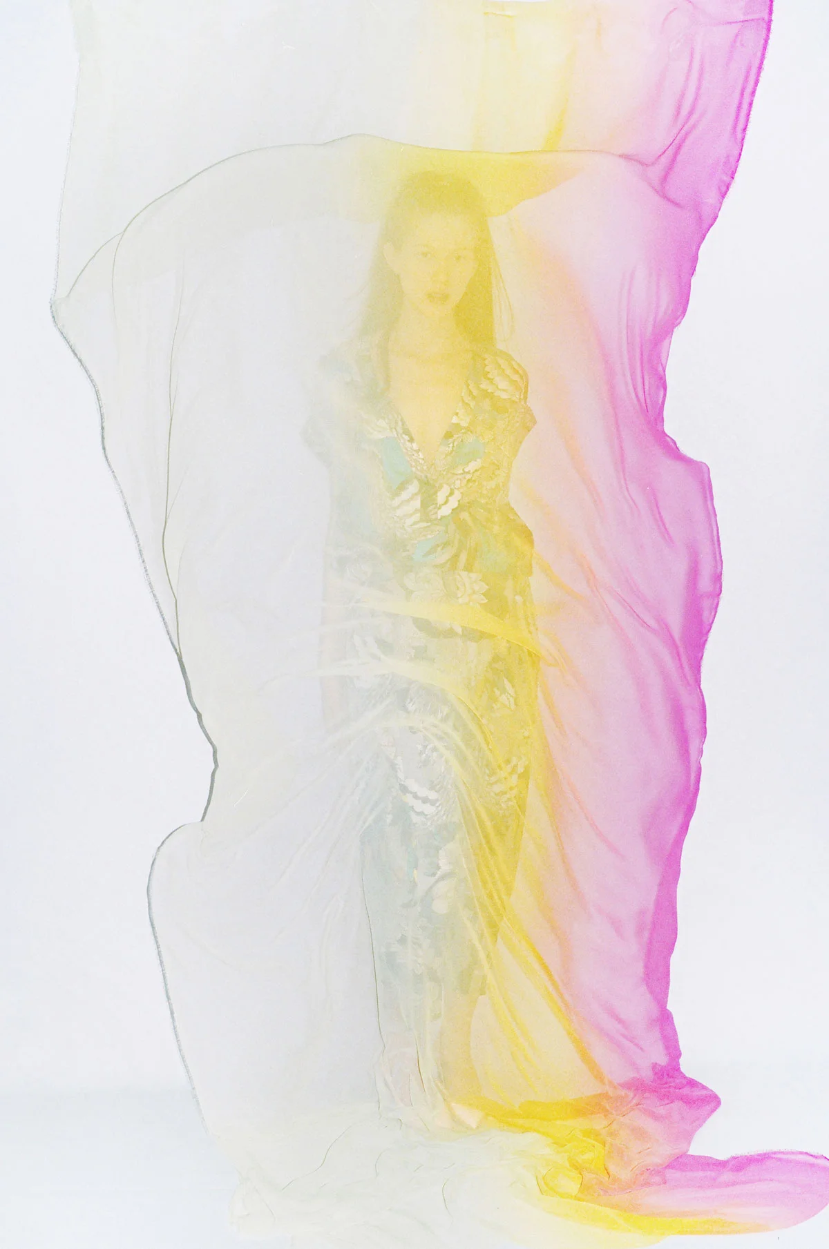 27_synchrodogs_the_cut.nocrop.w2000.h3000.jpg